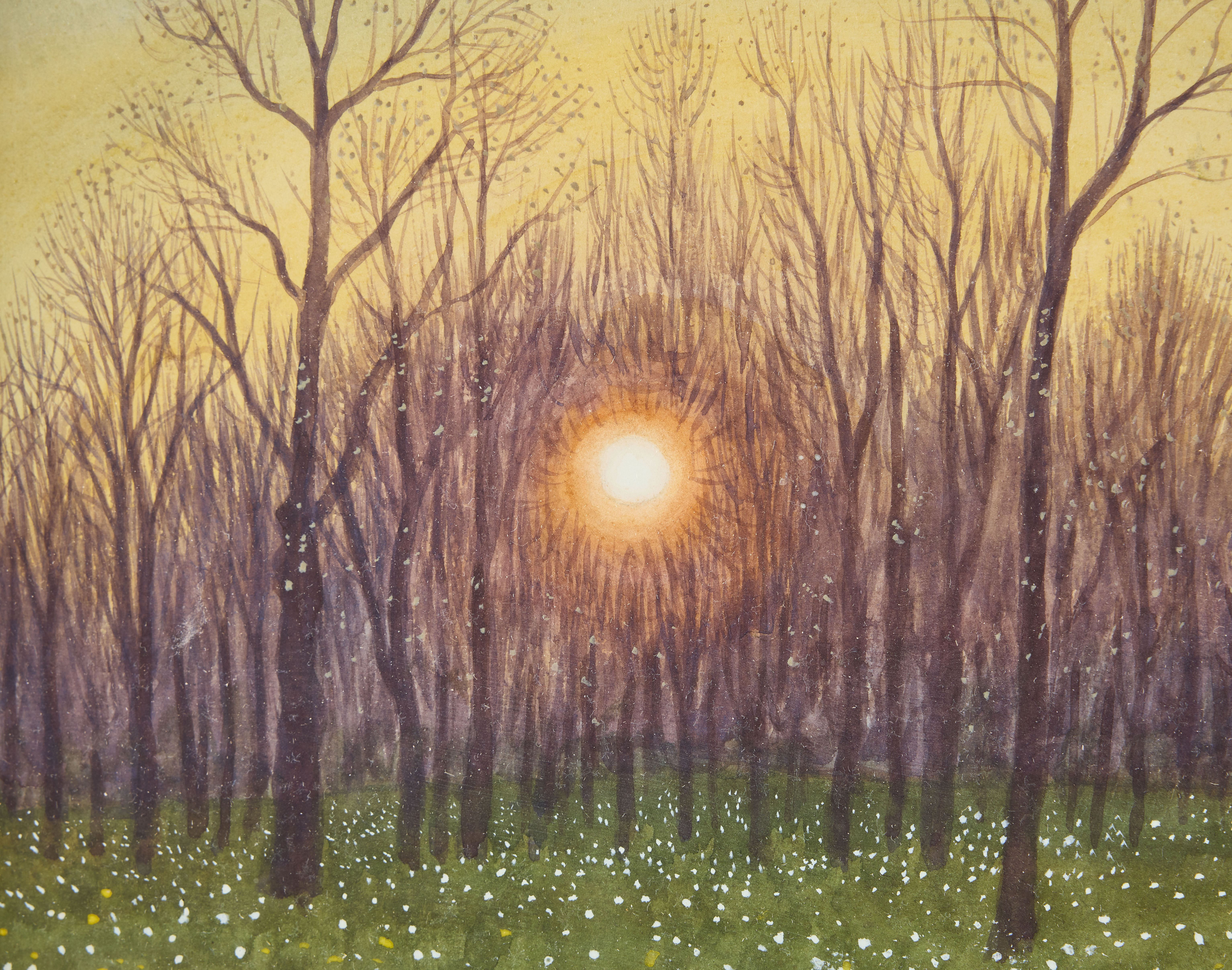 OSKAR BERGMAN. "Kvällssol i bokskog".