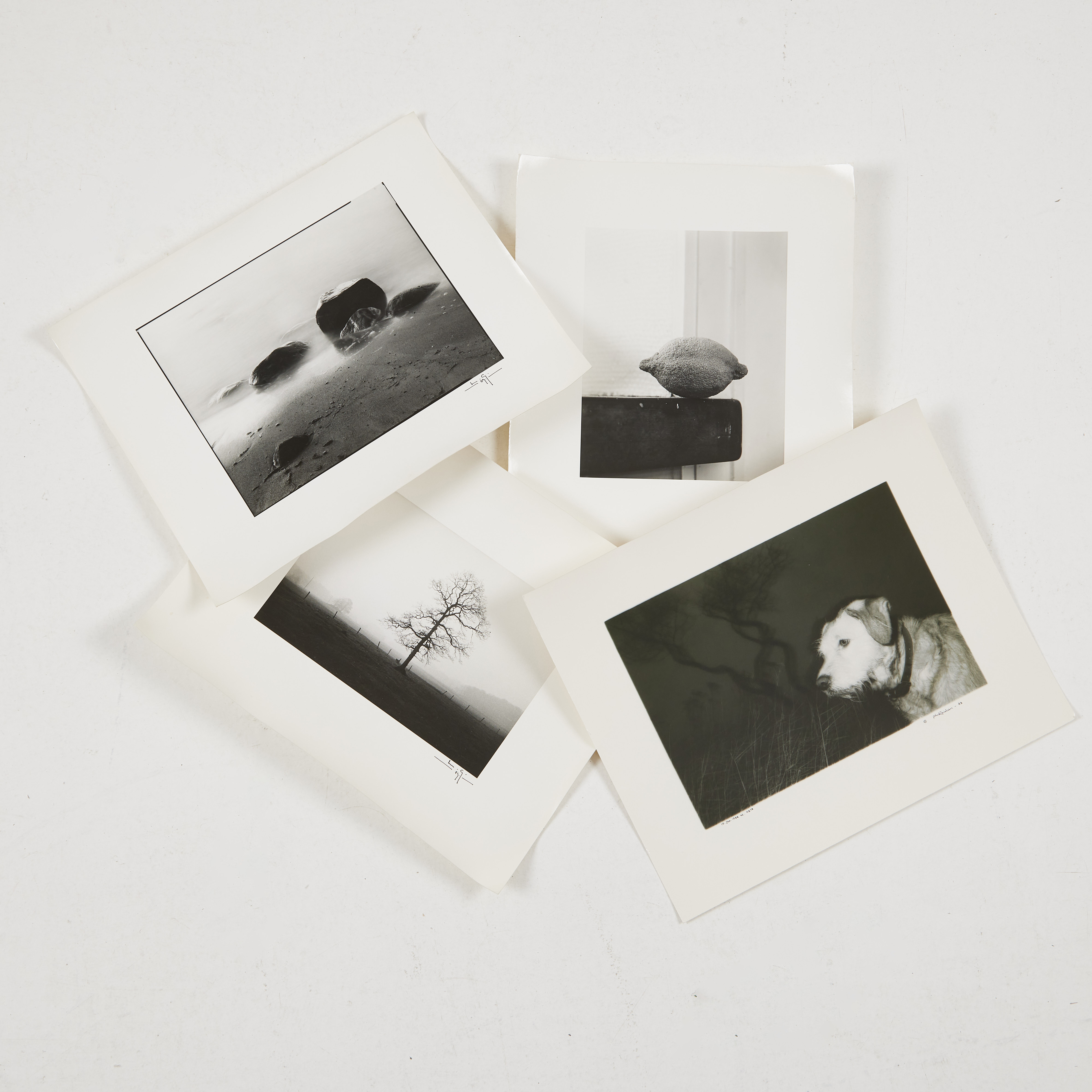 KNUD NIELSEN OCH LARS GUSTAFSSON. 1 st silvergelatinprint av Knud Nielsen samt 3 st silvergelatinprint av Lars Gustafsson.