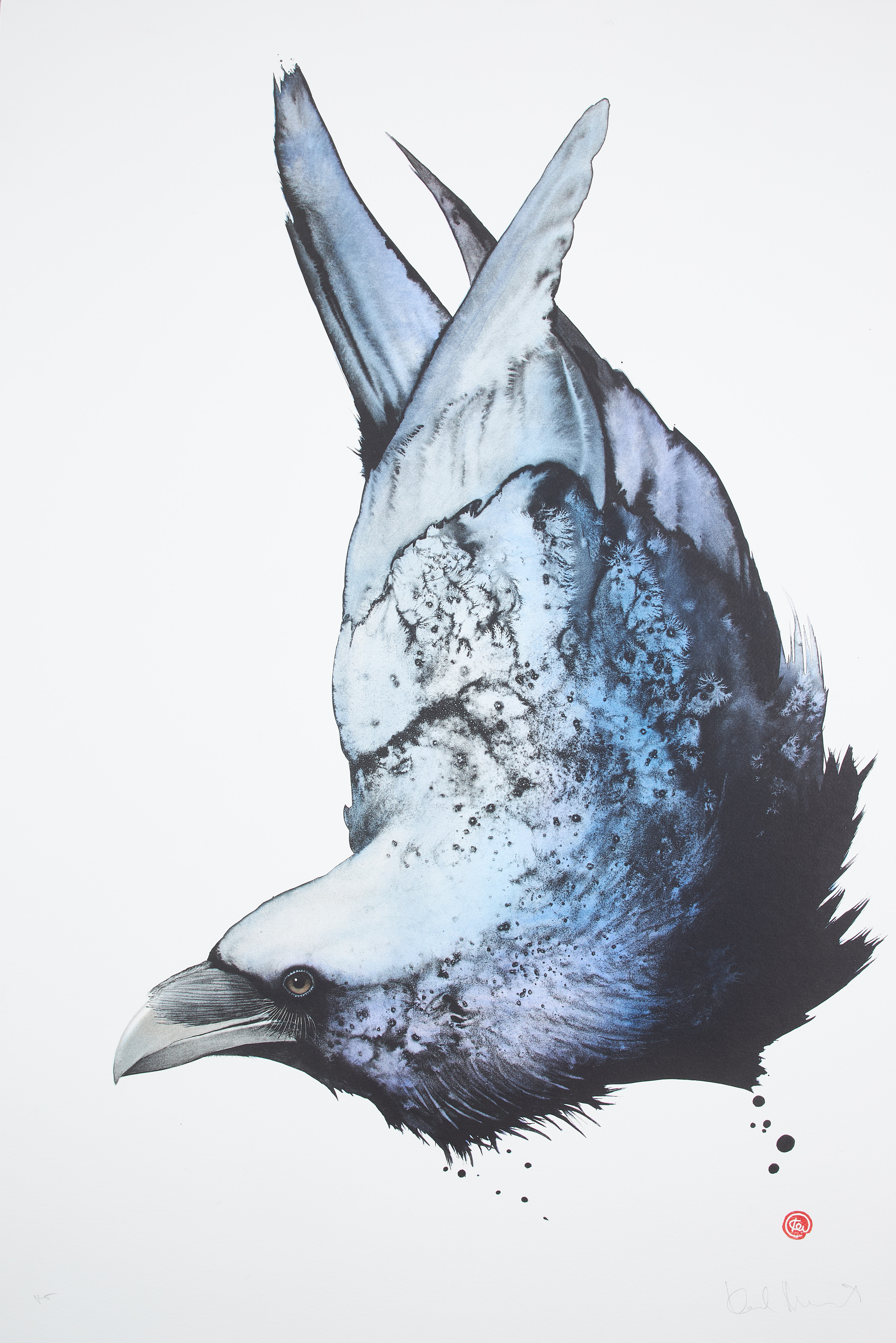 KARL MÅRTENS. Korp, färglitografi, signerad, provtryck.