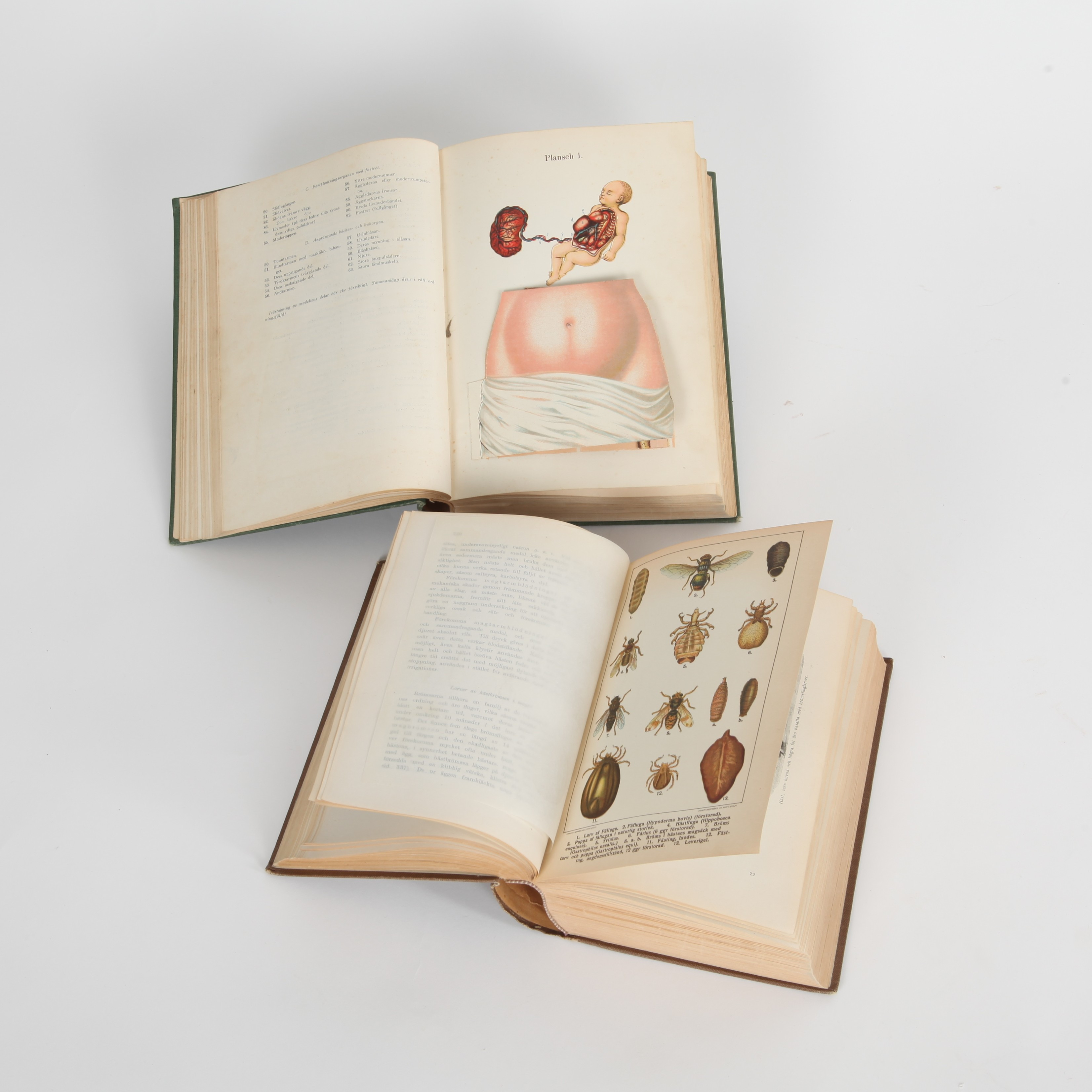 BÖCKER, 2 st, "Veterinären - Boken om våra husdjur" 1919 samt "Hemmets Läkarebok" 1926, med utvikbara bilder.