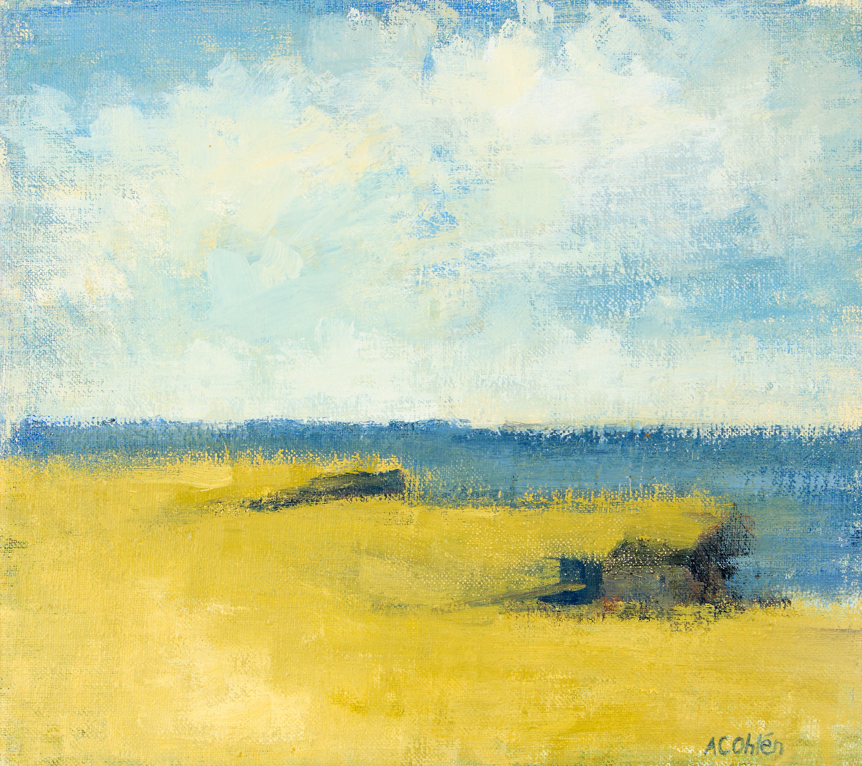 ANN-CHARLOTTE OHLÉN. Kustlanskap.