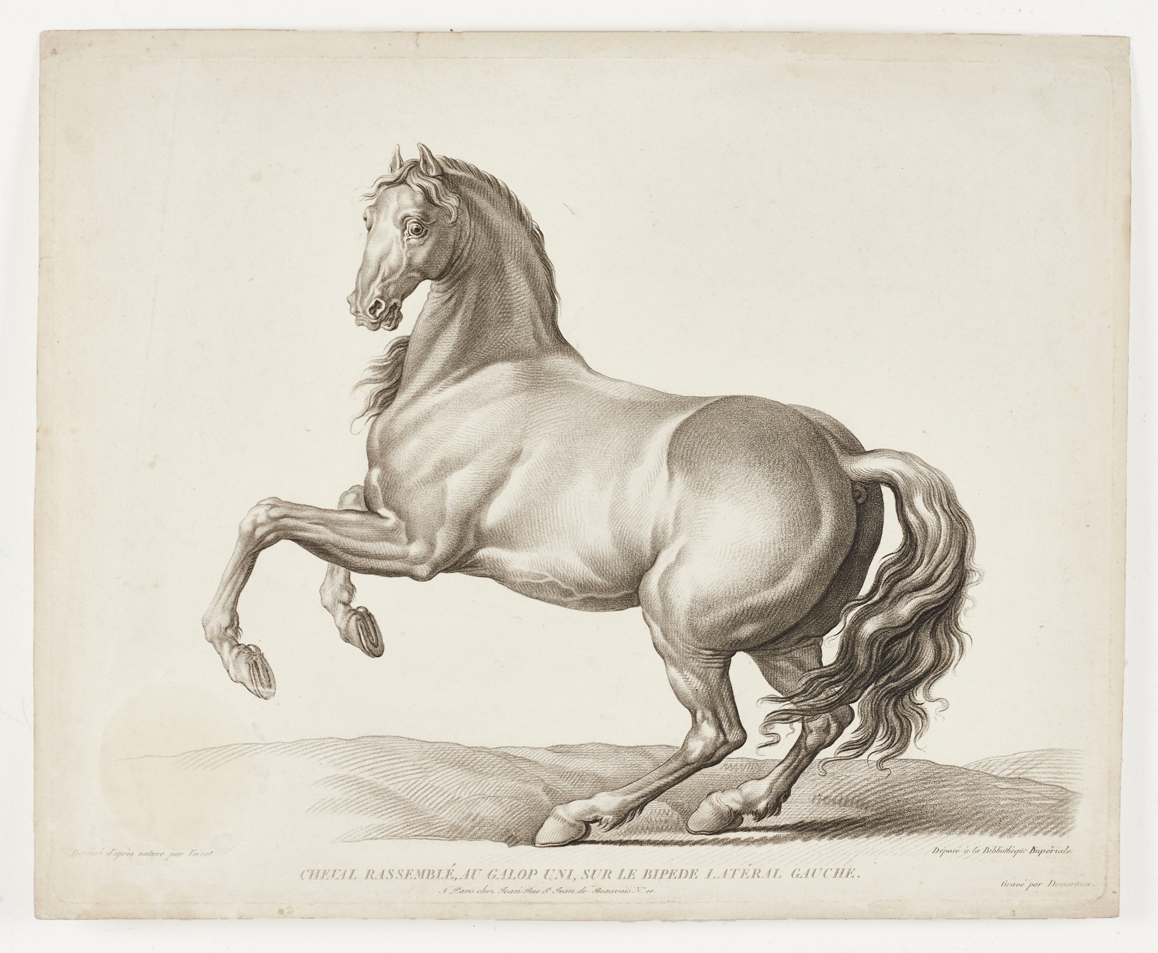VERNET, (3) cryaongravyrer, omkring ca 1799 och 1820.