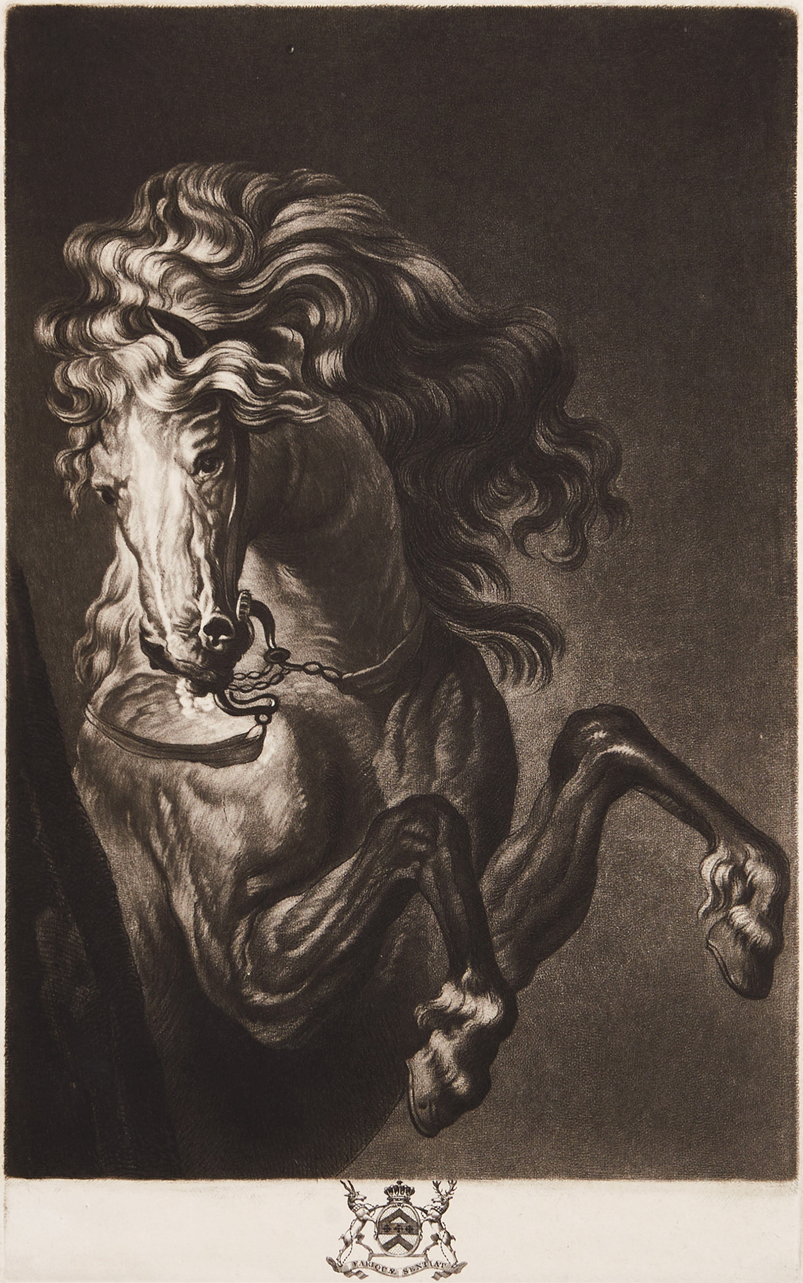 RICHARD EARLOM (1743-1822), mezzotint med etsning och punktgravyr, "A Horse''s Head", ca 1777.