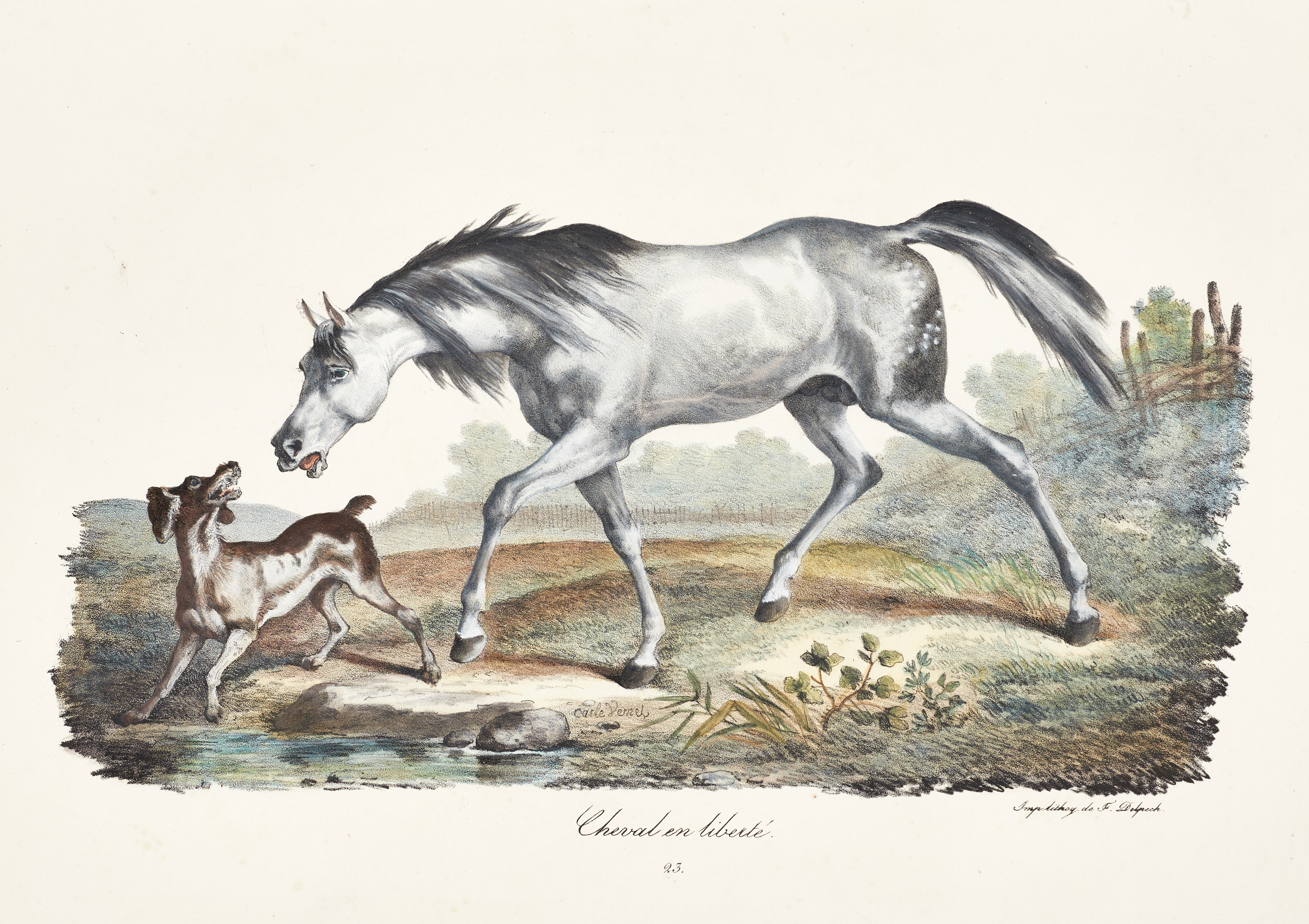 CARLE VERNET (1758-1836), tre handkolorerade litografier, motiv med hästar, ca 1820/30.