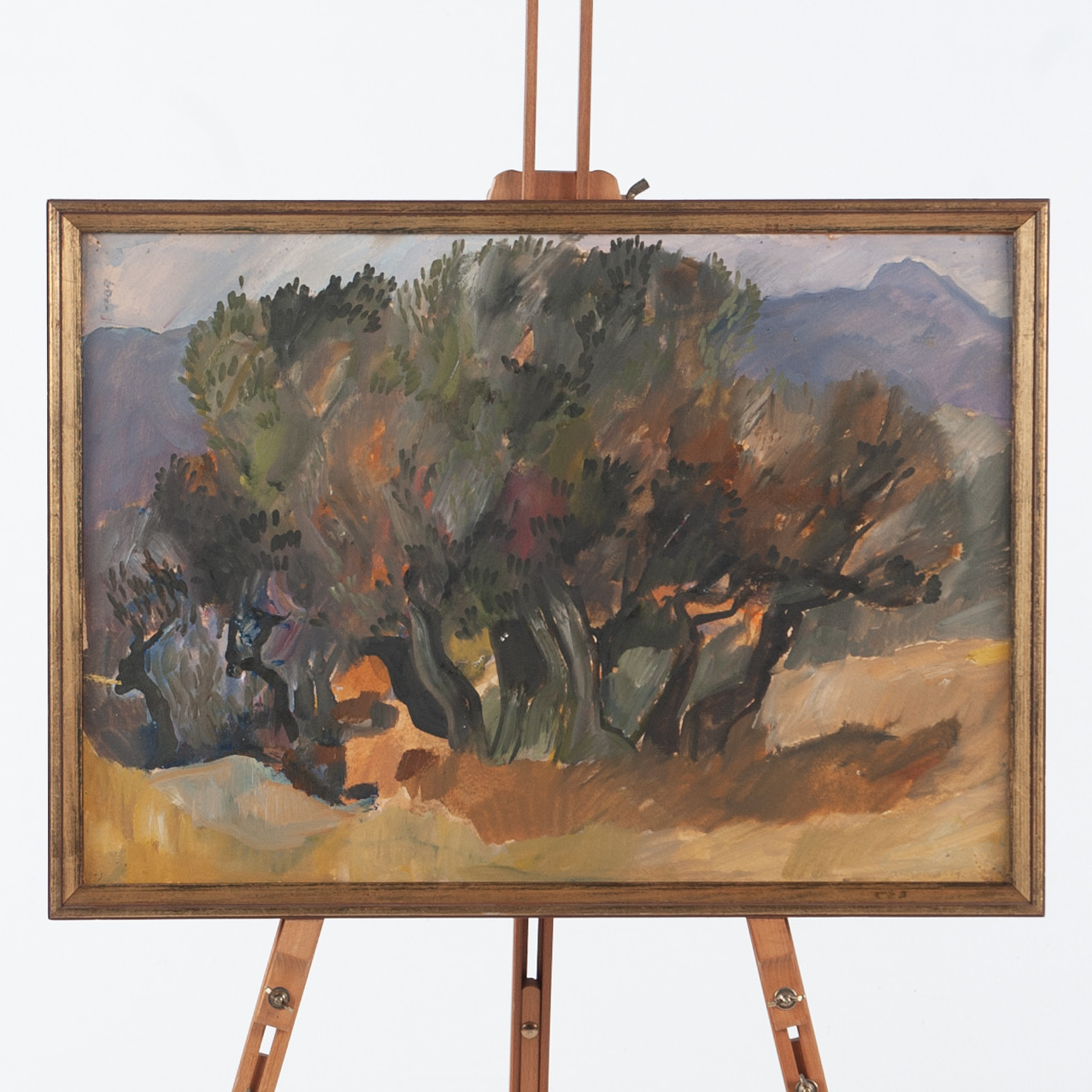 OIDENTIFIERAD KONSTNÄR. Blandteknik på pannå, olivträd Korsika daterad -68.