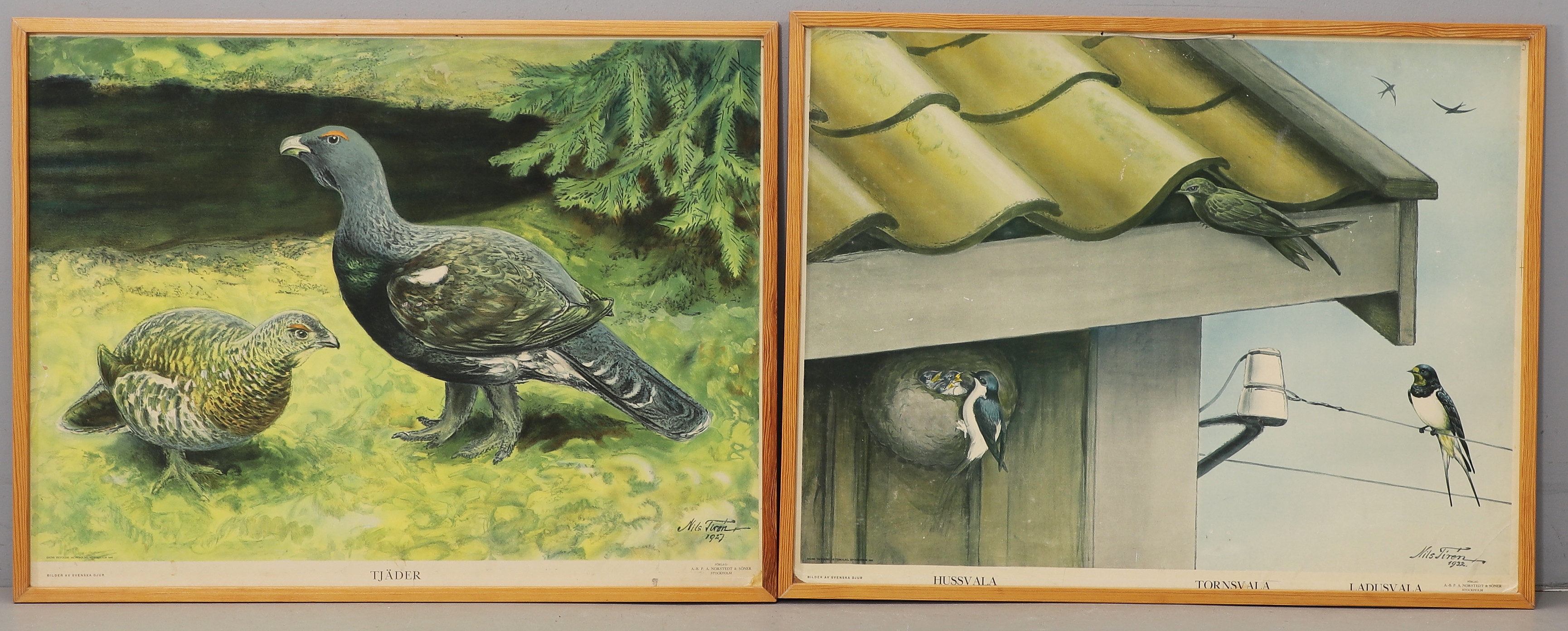 SKOLPLANSCHER, 2 st, tjäder och svalor, 1928-1932.