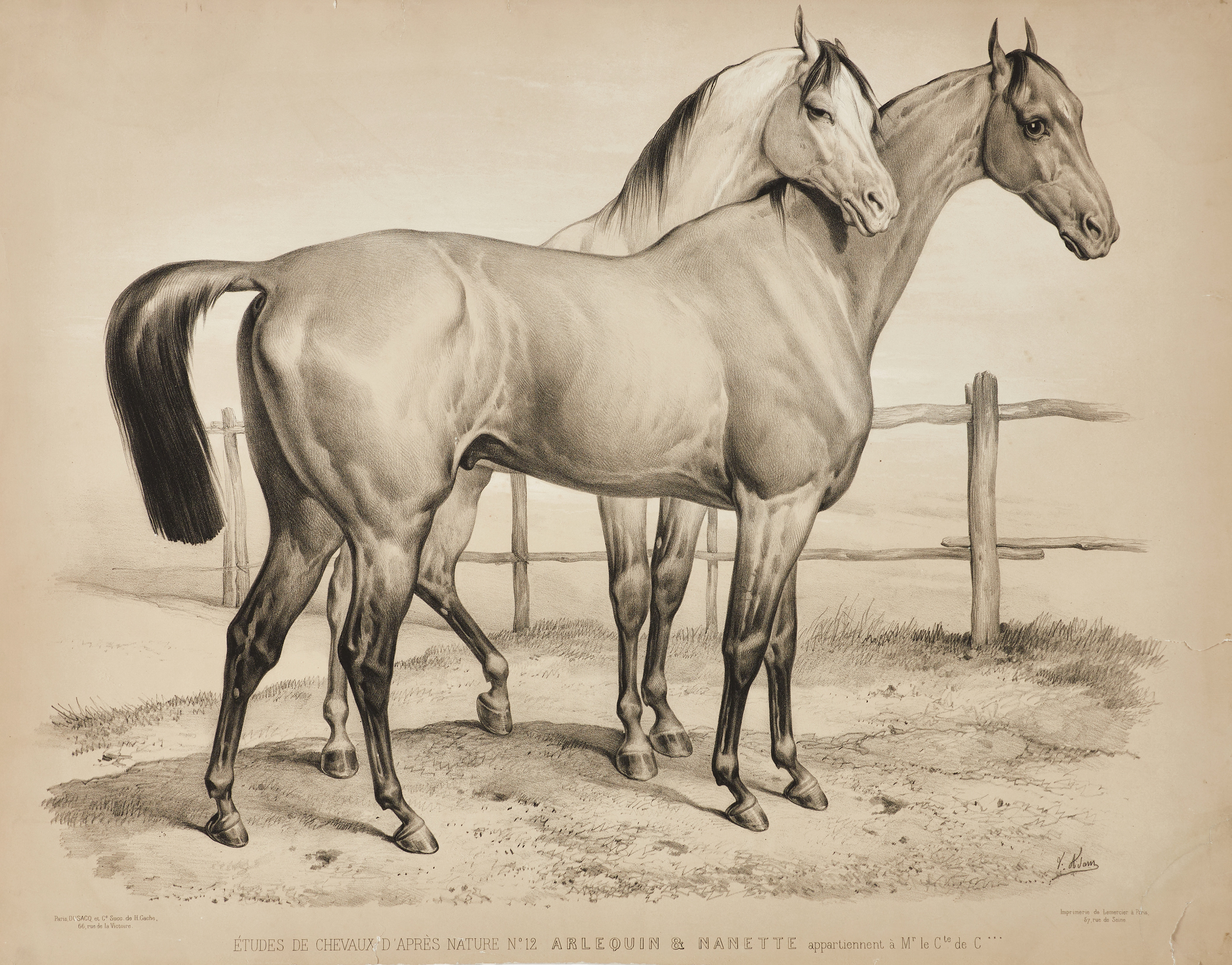 VICTOR JEAN VINCENT ADAM (1801-1866), (6) litografier vara tre handkolorerade, 1800-tal.