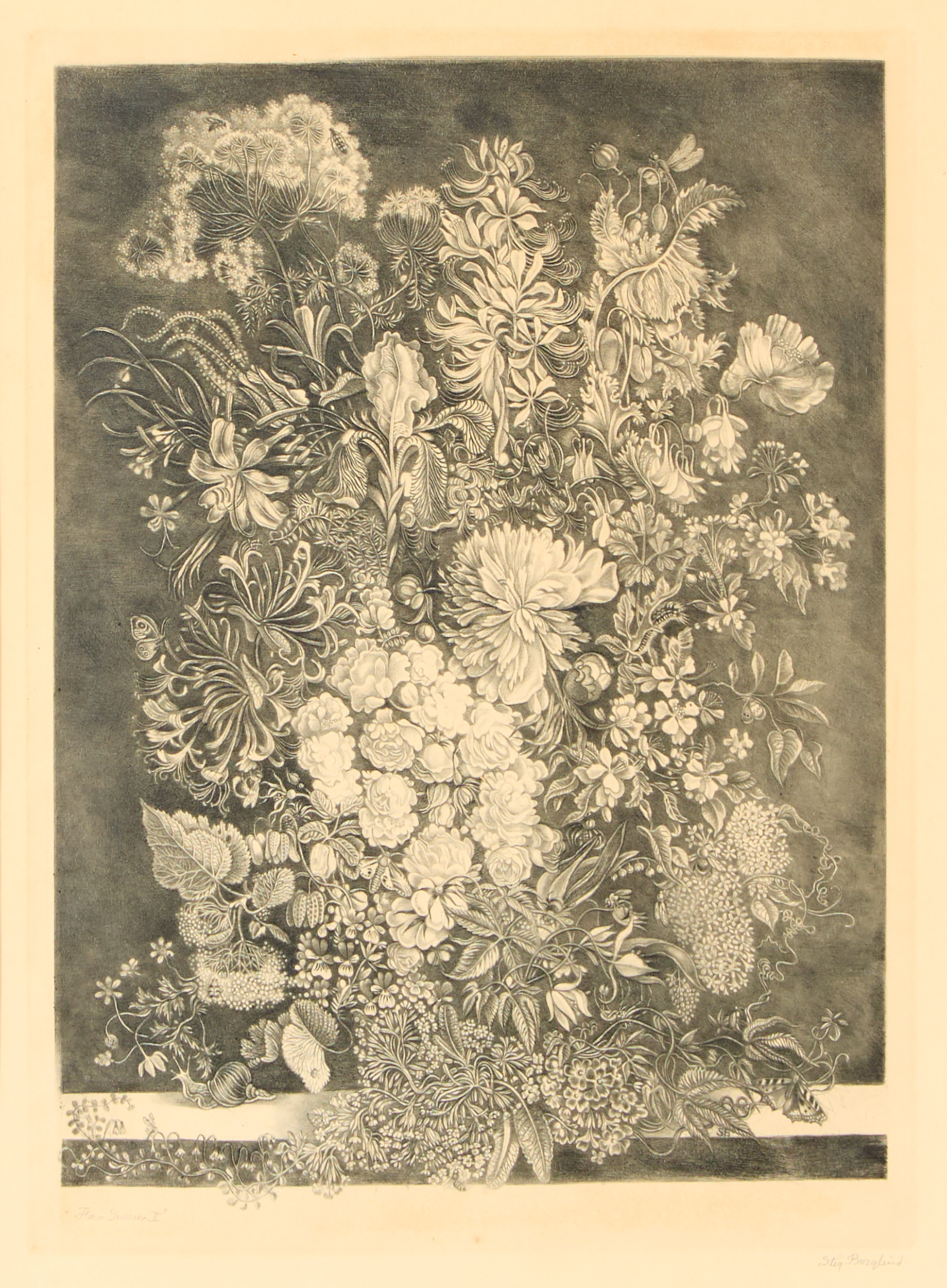 STIG BORGLIND. "Flora Suecia II", 1939.