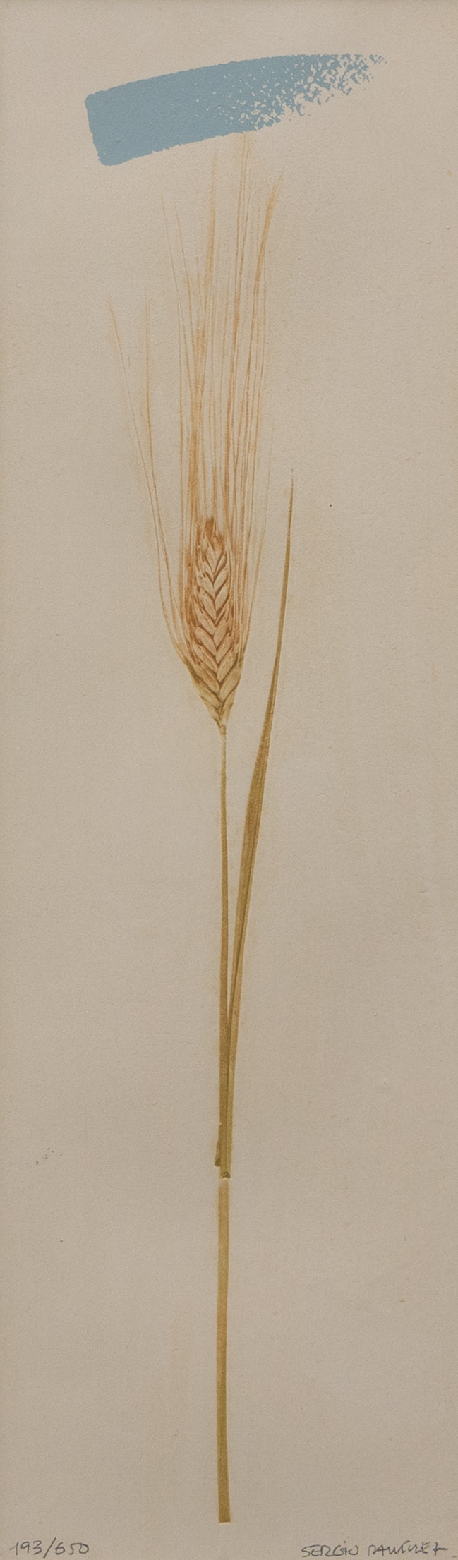 OIDENTIFIERAD KONSTNÄR. Kornax, litografi nr 193/650, signerad möjligen Sergio Dauinet.