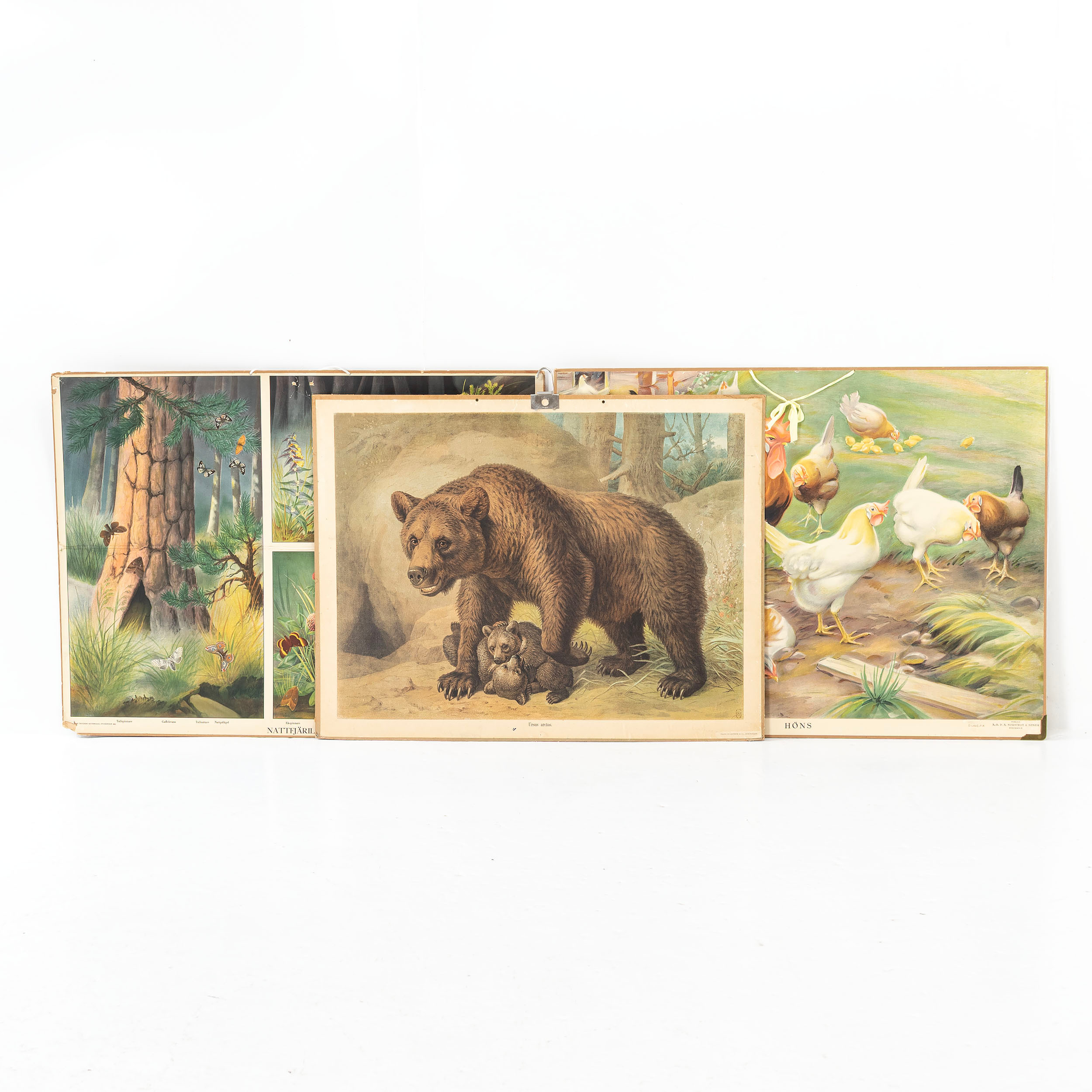 SKOLPLANSCHER, 3 delar, P A Norstedt & Söner, Stockholm, omkring 1900-talets mitt.