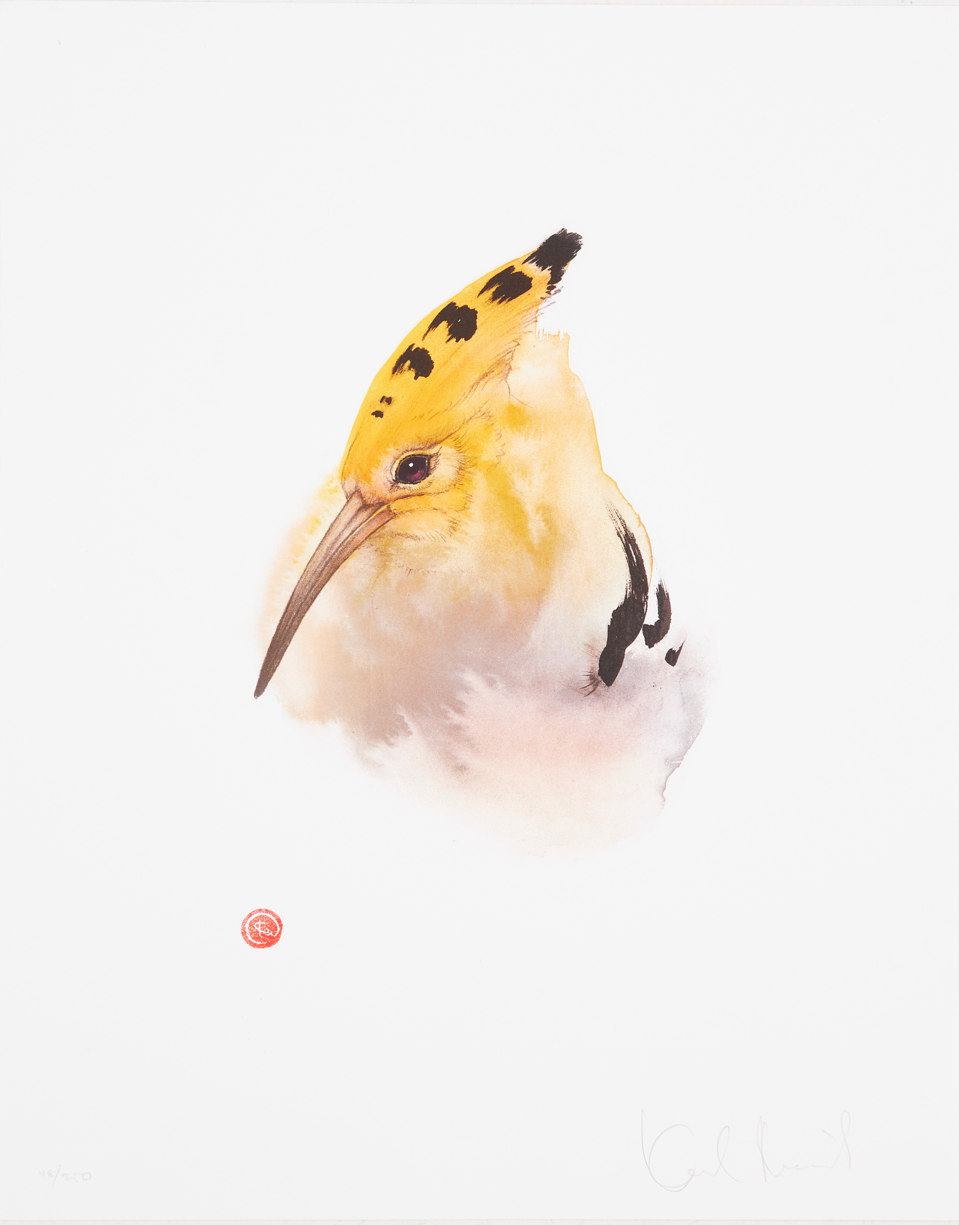 KARL MÅRTENS. "Härfågel", färglitografi, signerad, numrerad 48/250.