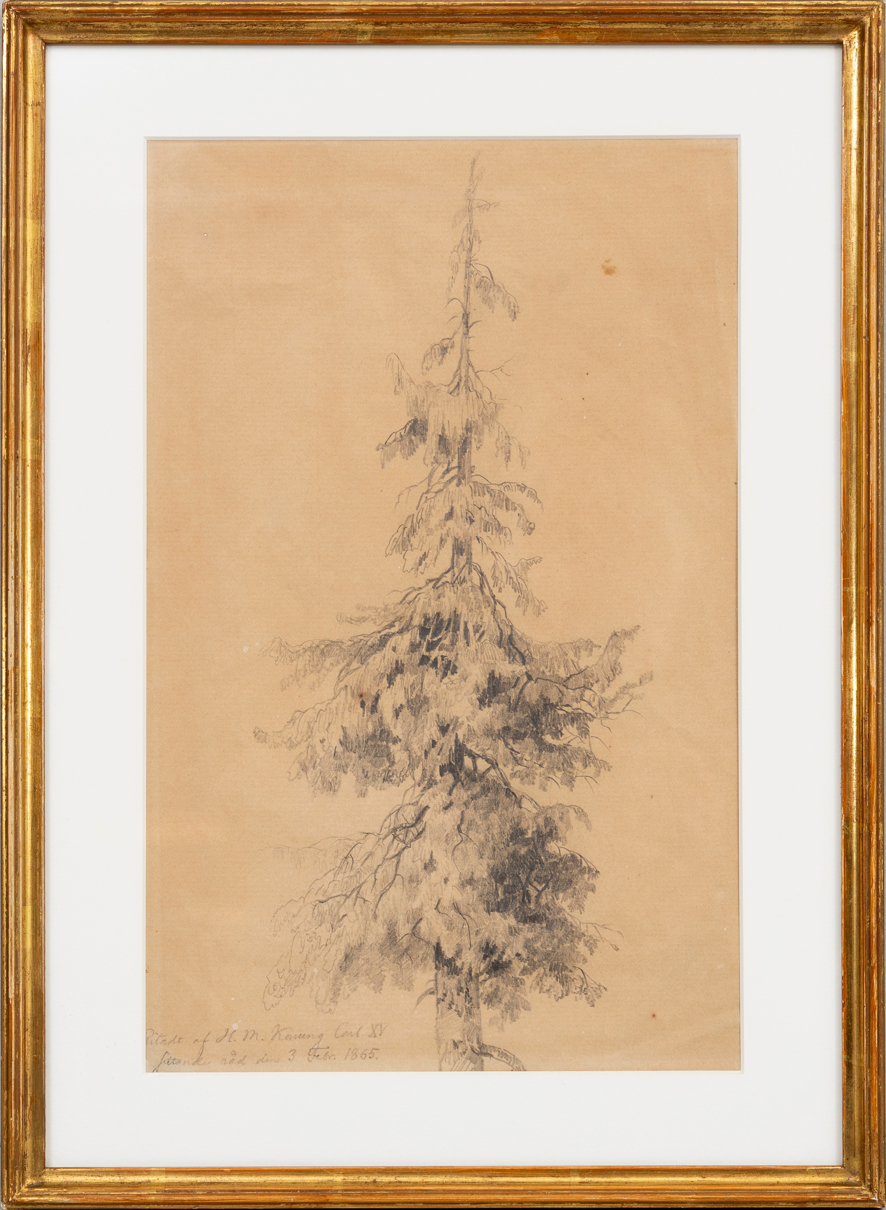 KUNG KARL XV (1826-1872). Teckning, motiv av en gran, blyerts på papper, daterad 3 Febr. 1865.
