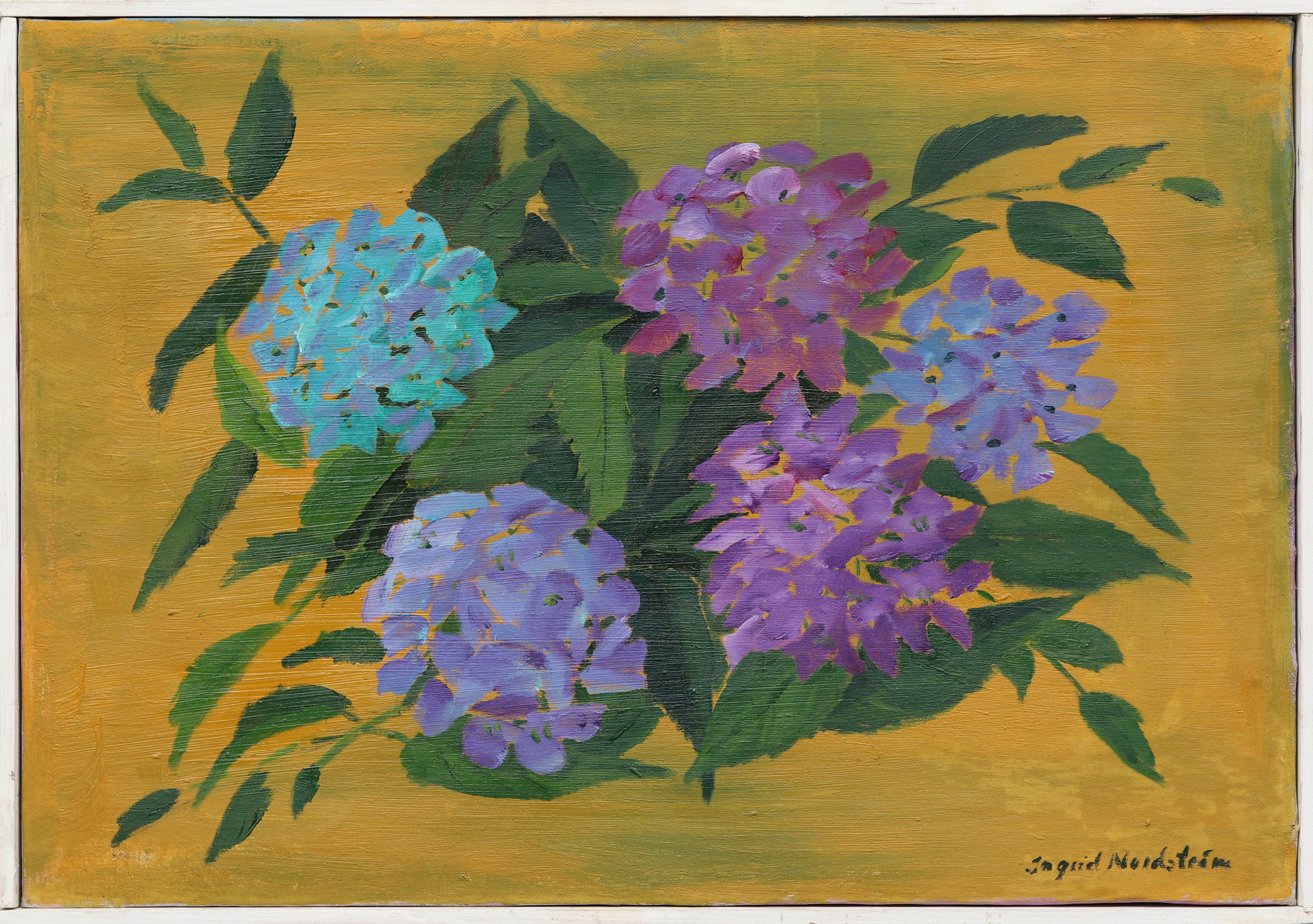 INGRID NORDSTRÖM. Hortensior, signerad. Olja på duk. Signerad.