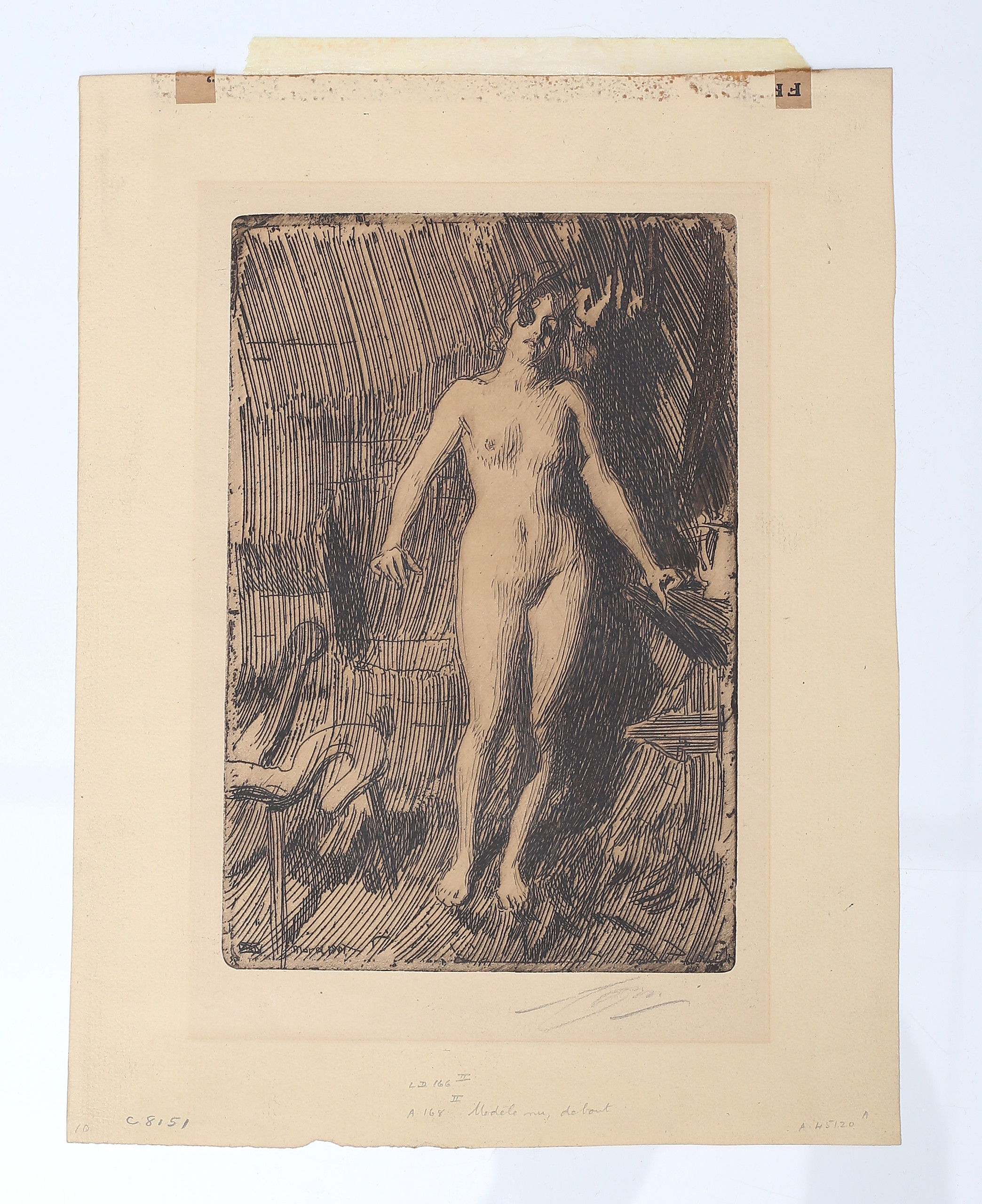 ANDERS ZORN. "Stående modell". Etsning, signerad, stämplad "Guildal" på baksidan.