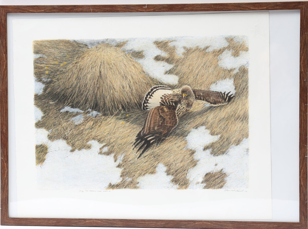 LENNART SAND. Motiv med rovfågel, signerad och daterad 92.