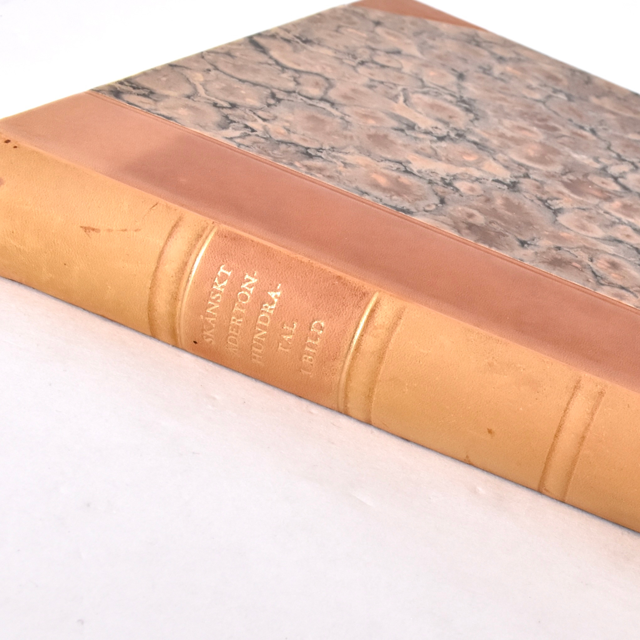 BOK, Skånskt aderton, hundratal i bilder, Johan Kroon och Sven. T. Kjellberg, Malmö 195.