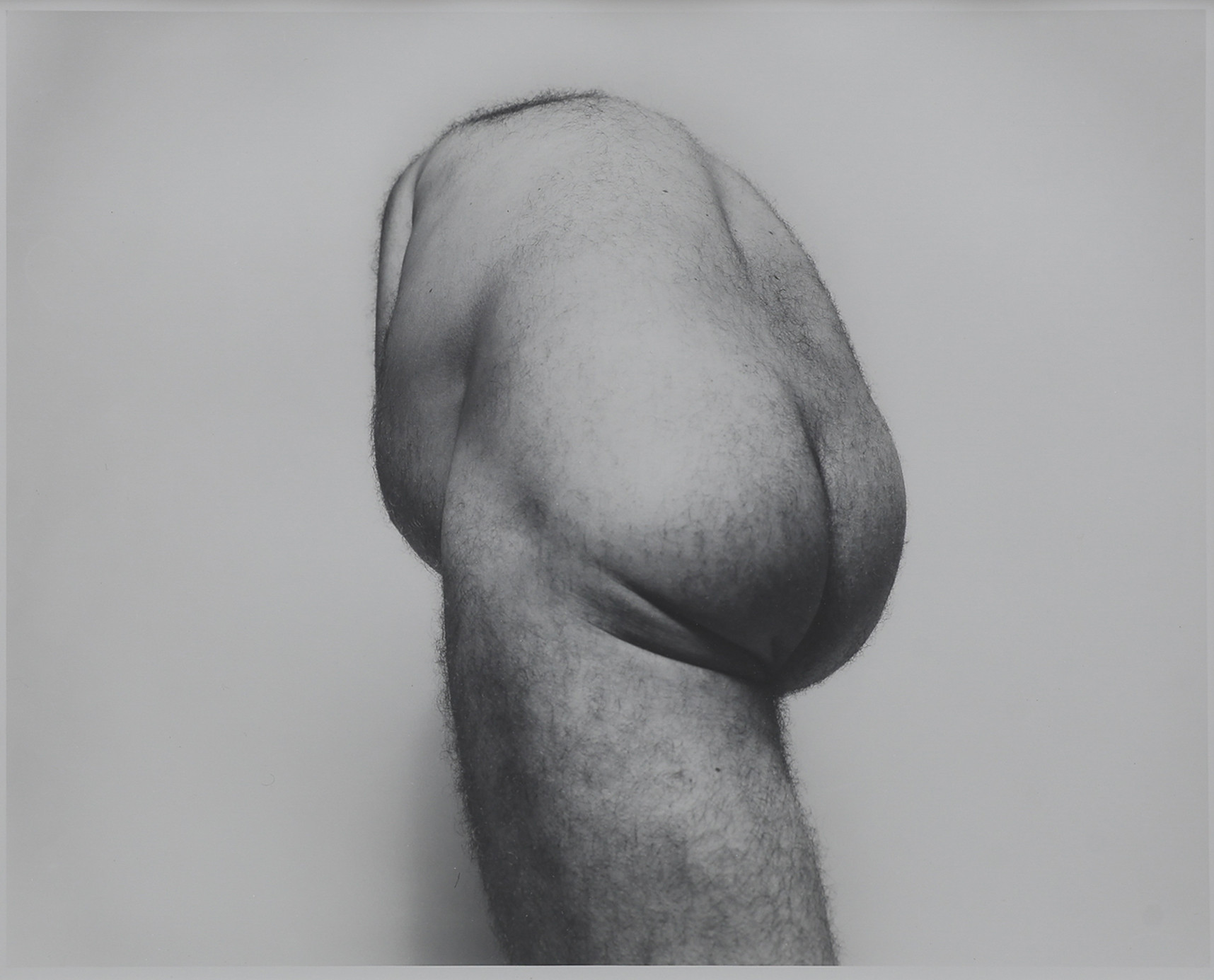 JOHN  COPLANS. SILVERGELATINKOPIA, "SELF PORTRAIT, BACK TORSO FROM BELOW 1985", SIGNERAD, NUMRERAD 5/12.
