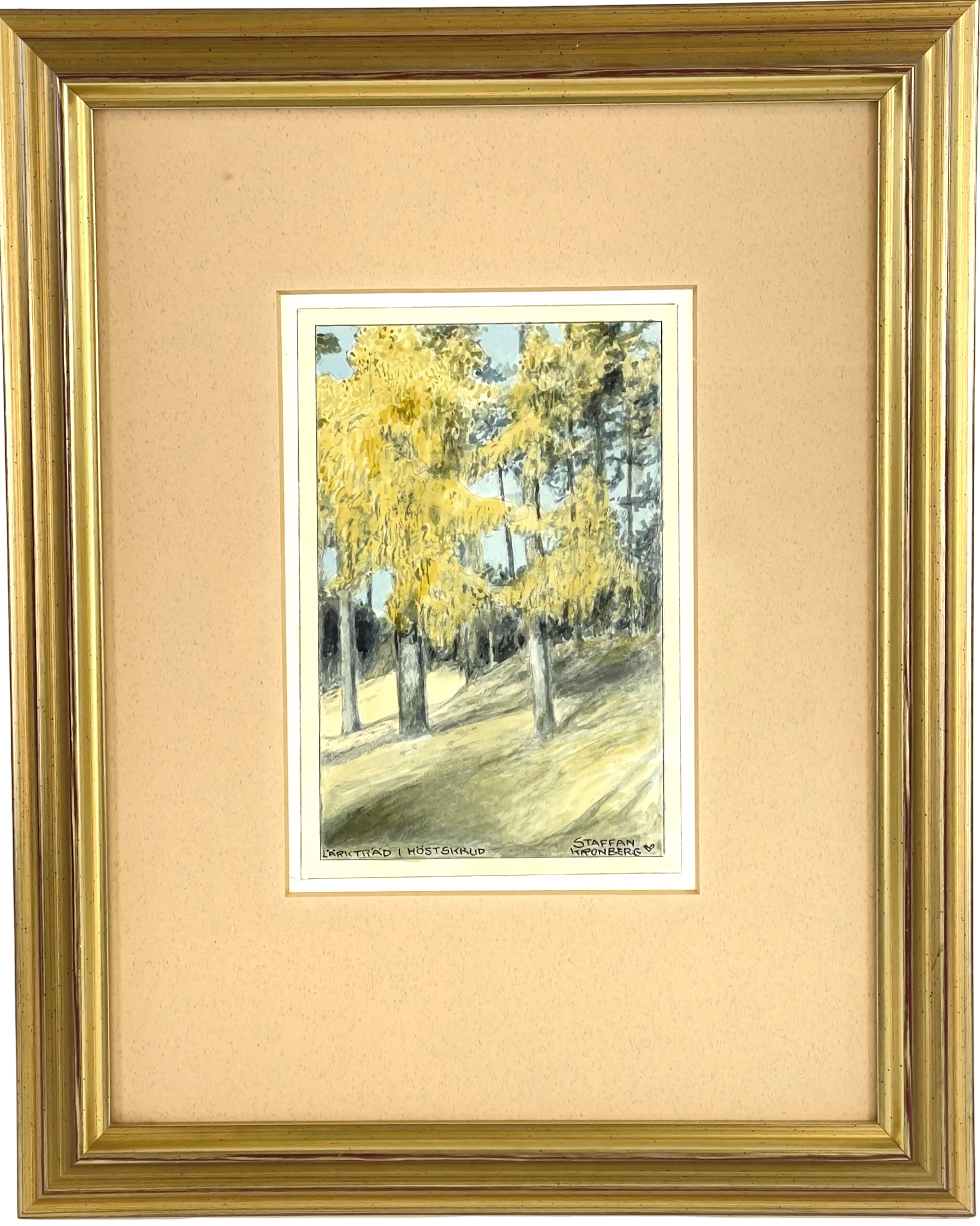 STAFFAN KRONBERG (1902 - 1984), akvarell, "Lärkträd i höstskrud", signerad.