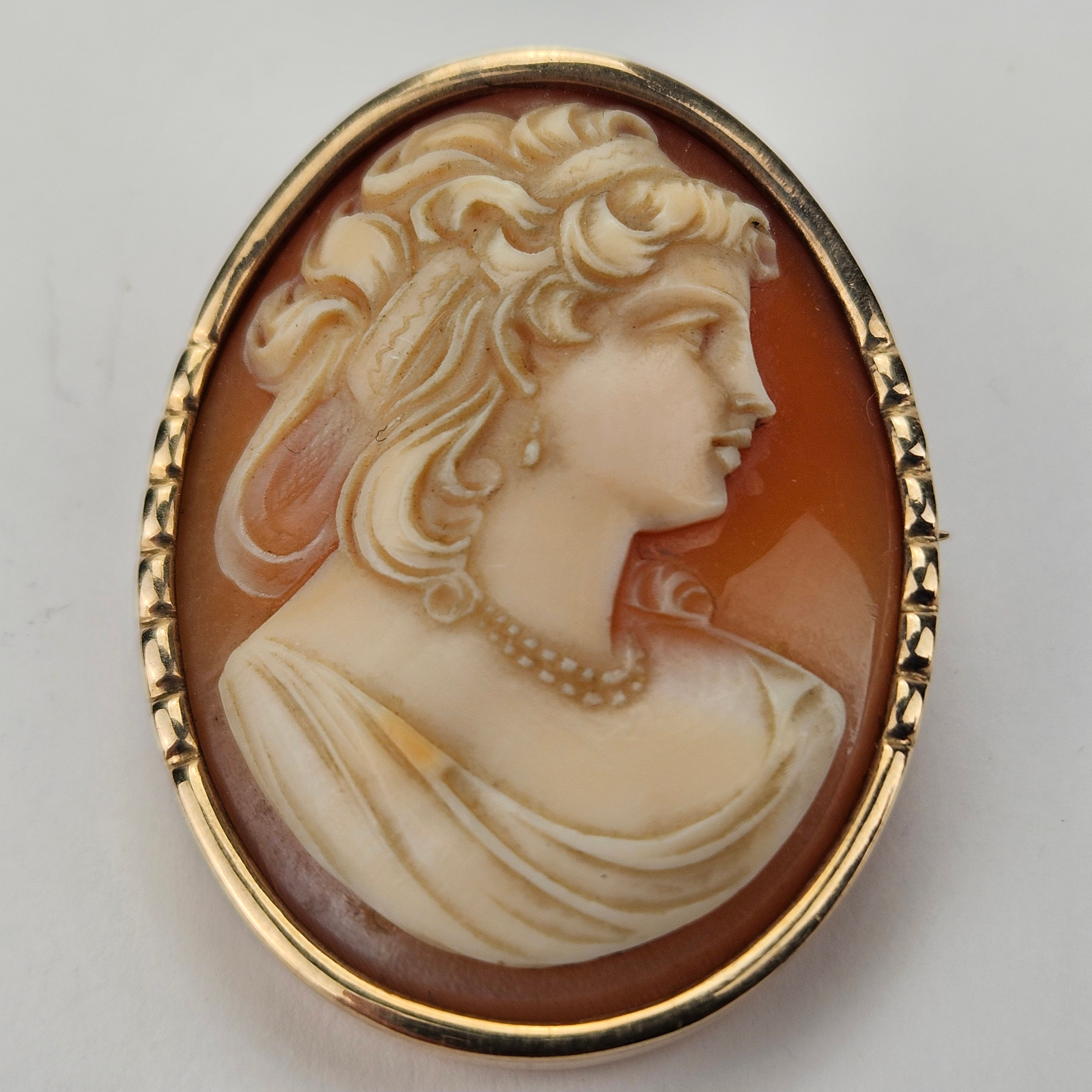 BROSCH/HÄNGE, guld, 14k, med camé, total vikt ca. 13,9 gram.