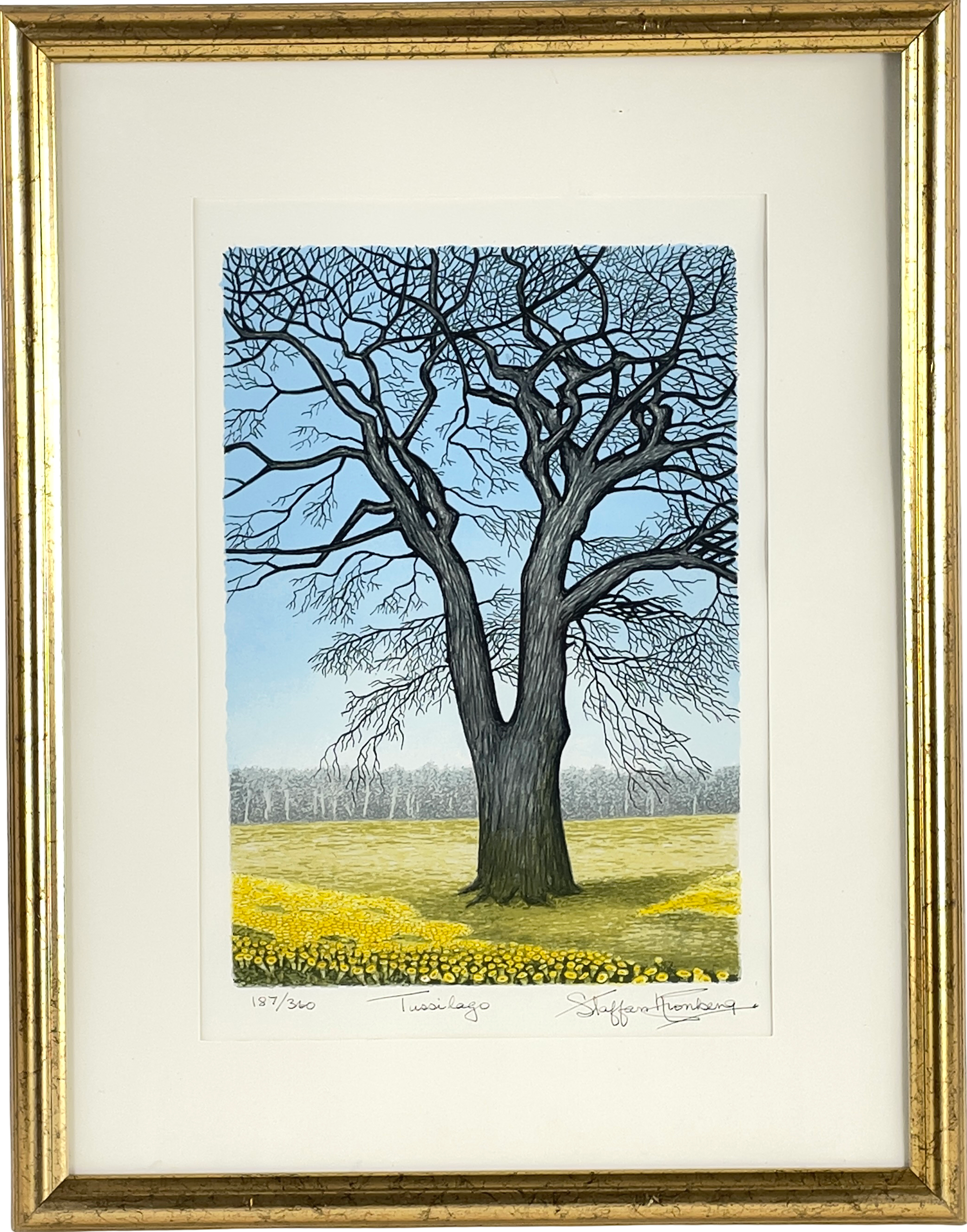 STAFFAN KRONBERG (1902 - 1984), färglitografi, "Tussilago", signerad samt numrerad 187/360.