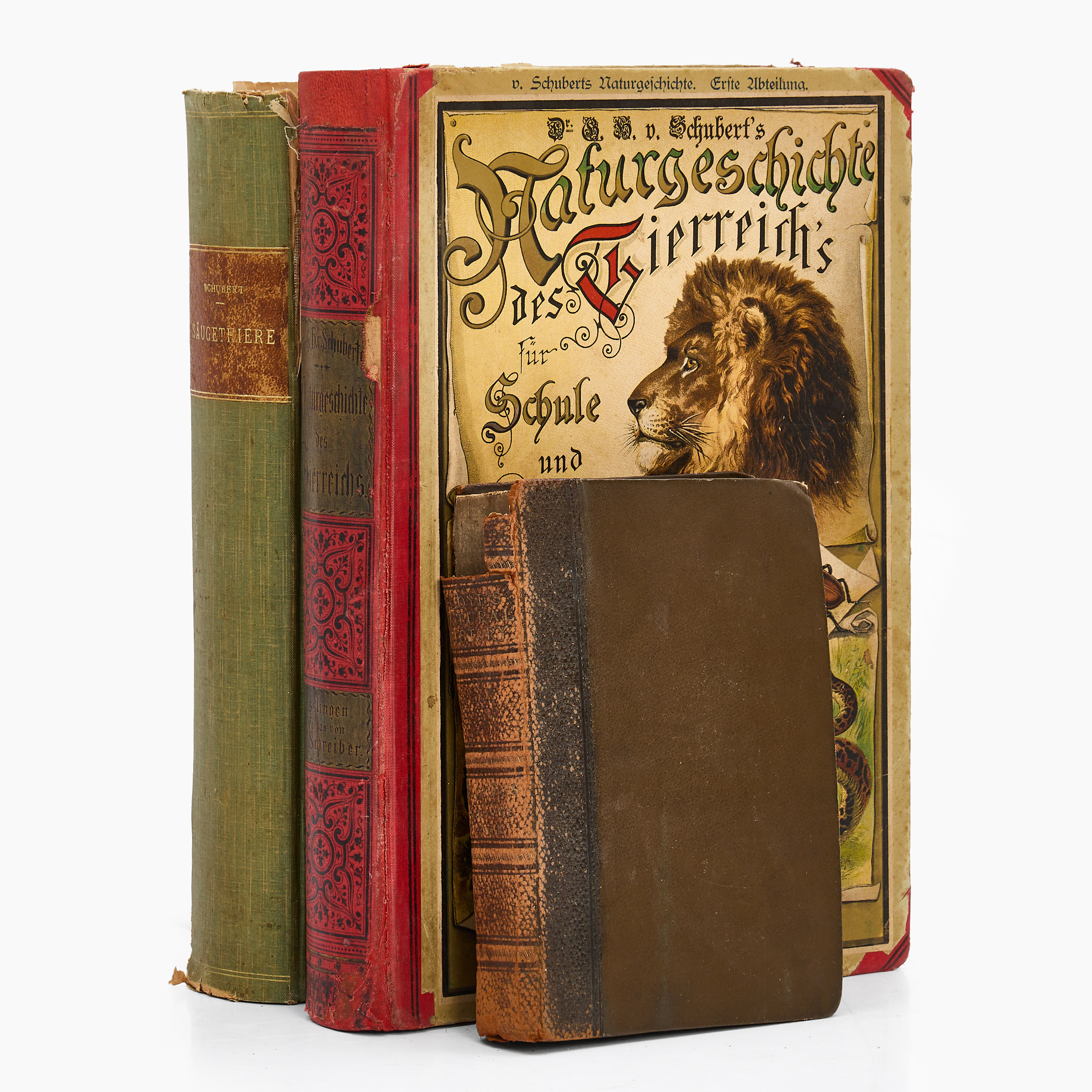 SCHUBERT, "Naturgeschichte", Esslingen, 1876, 1871. "Naturgeschichte", Esslingen bei Stuttgart [1886]. FORBES, "A Hand-Book to the Primates", Vol II, London 1897.