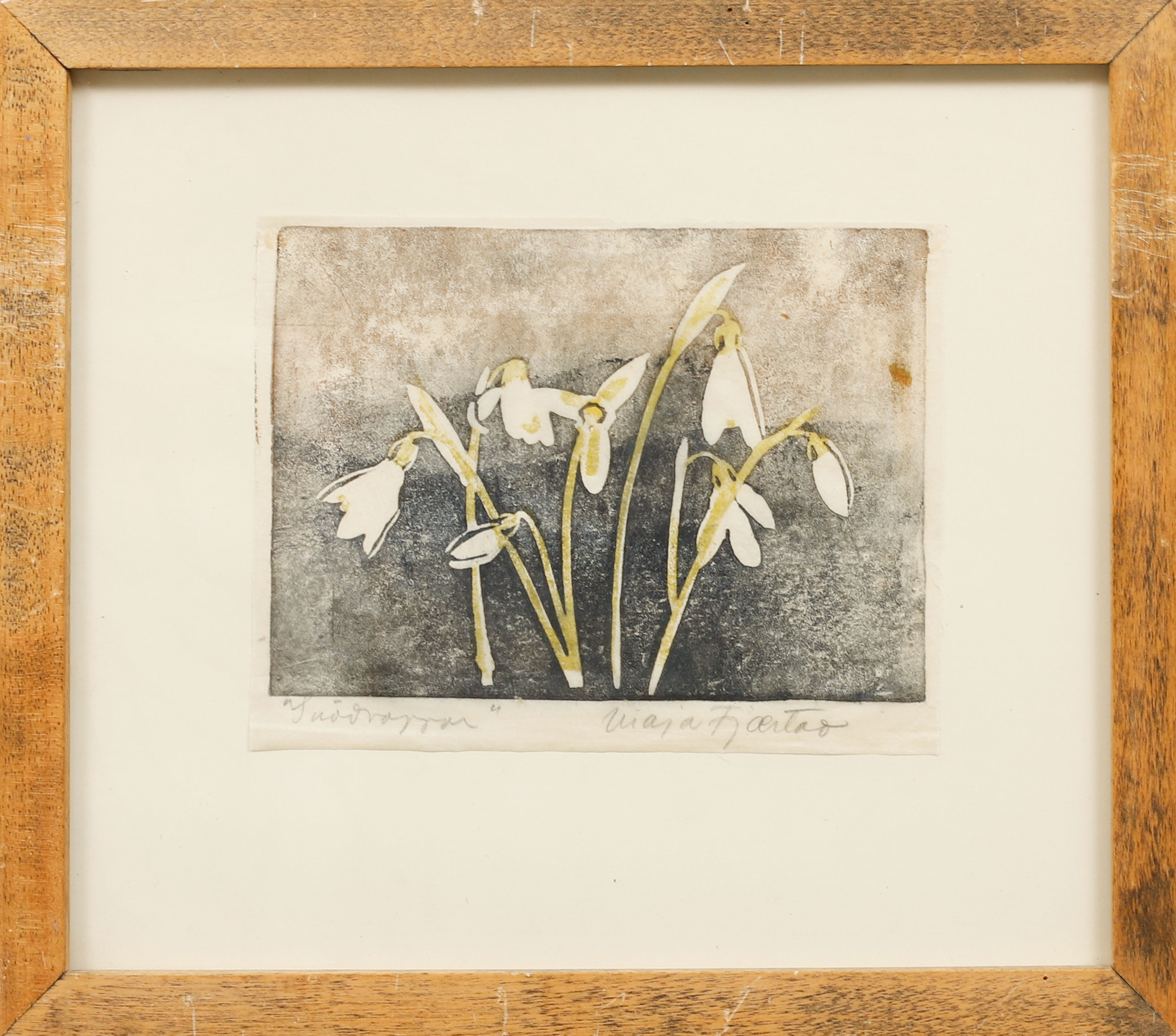 MAJA FJAESTAD. "Snödroppar". Träsnitt, signerad.