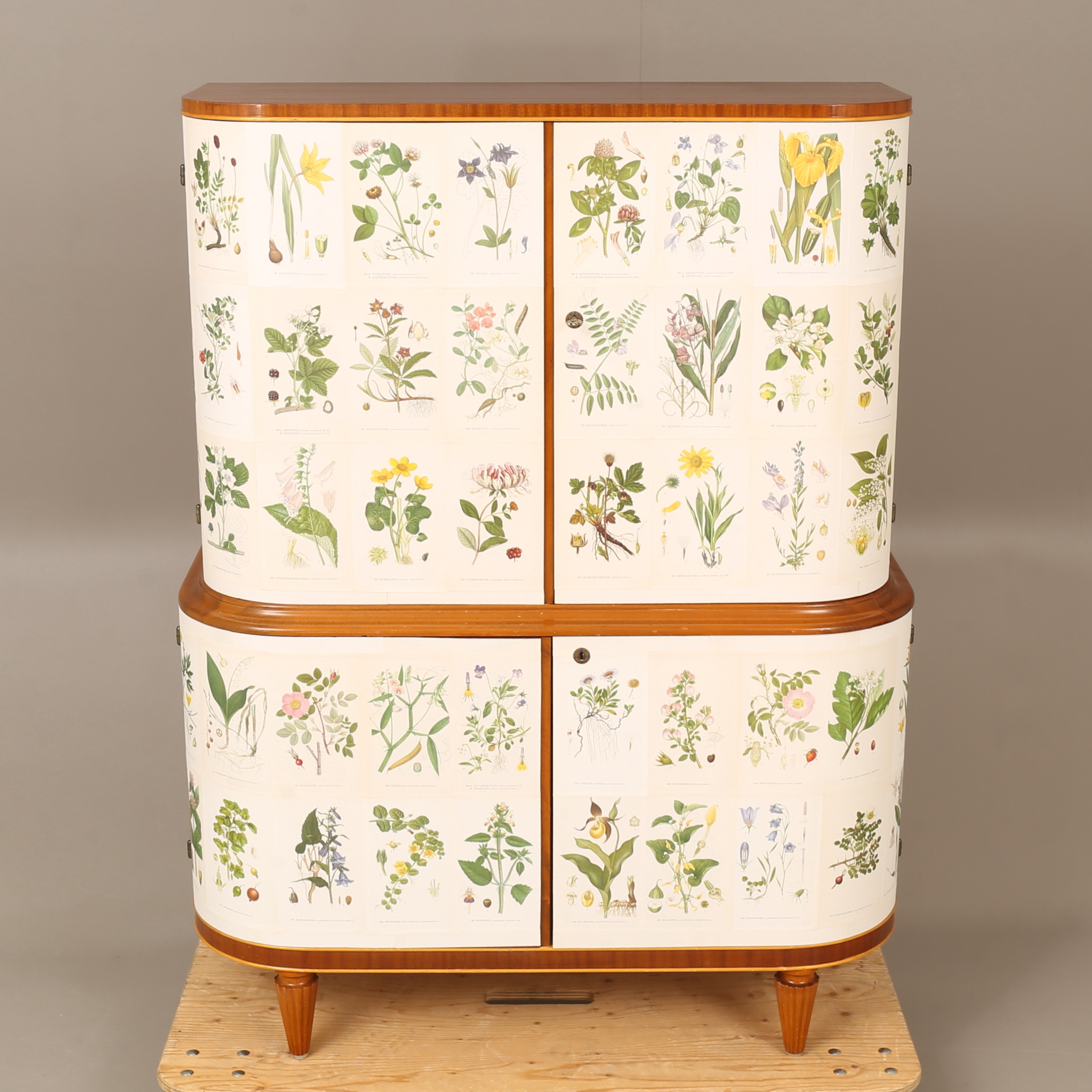 SKÅP, klätt med bilder ur Nordens Flora, 1900-tal.