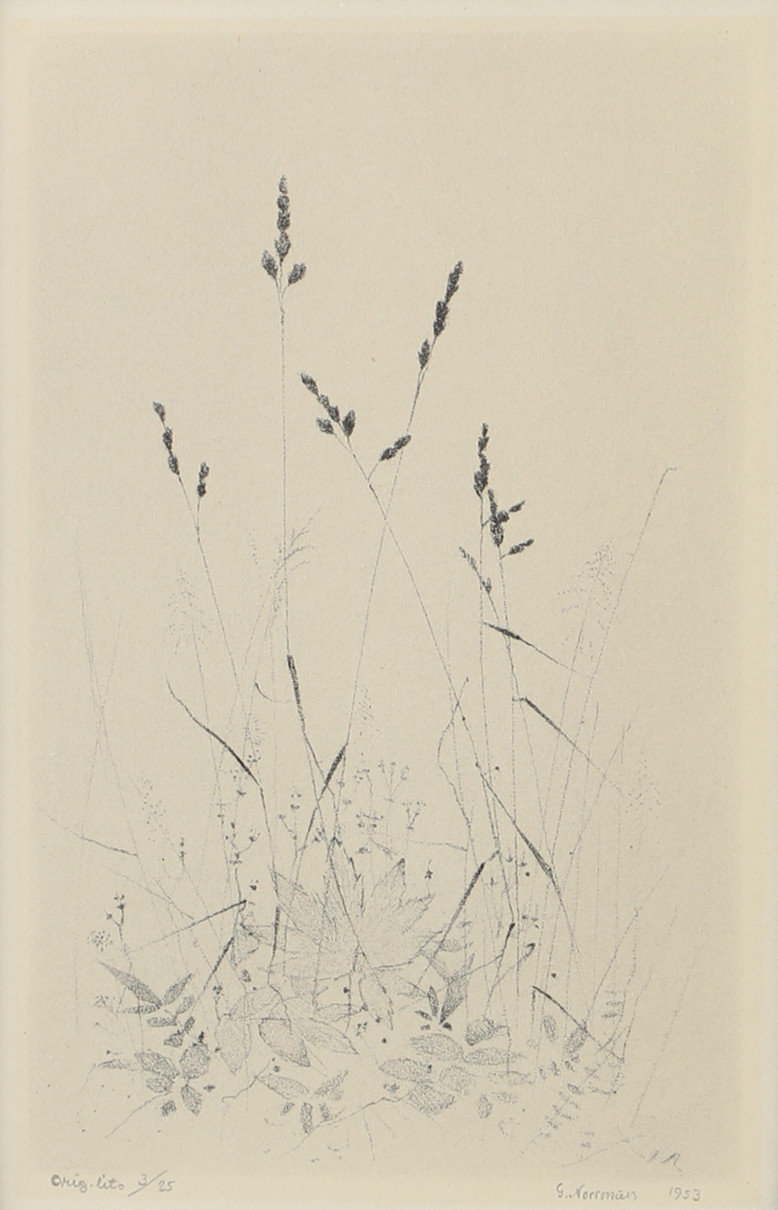GUNNAR NORRMAN. Växtlighet, litografi, signerad G. Norrman 1953.