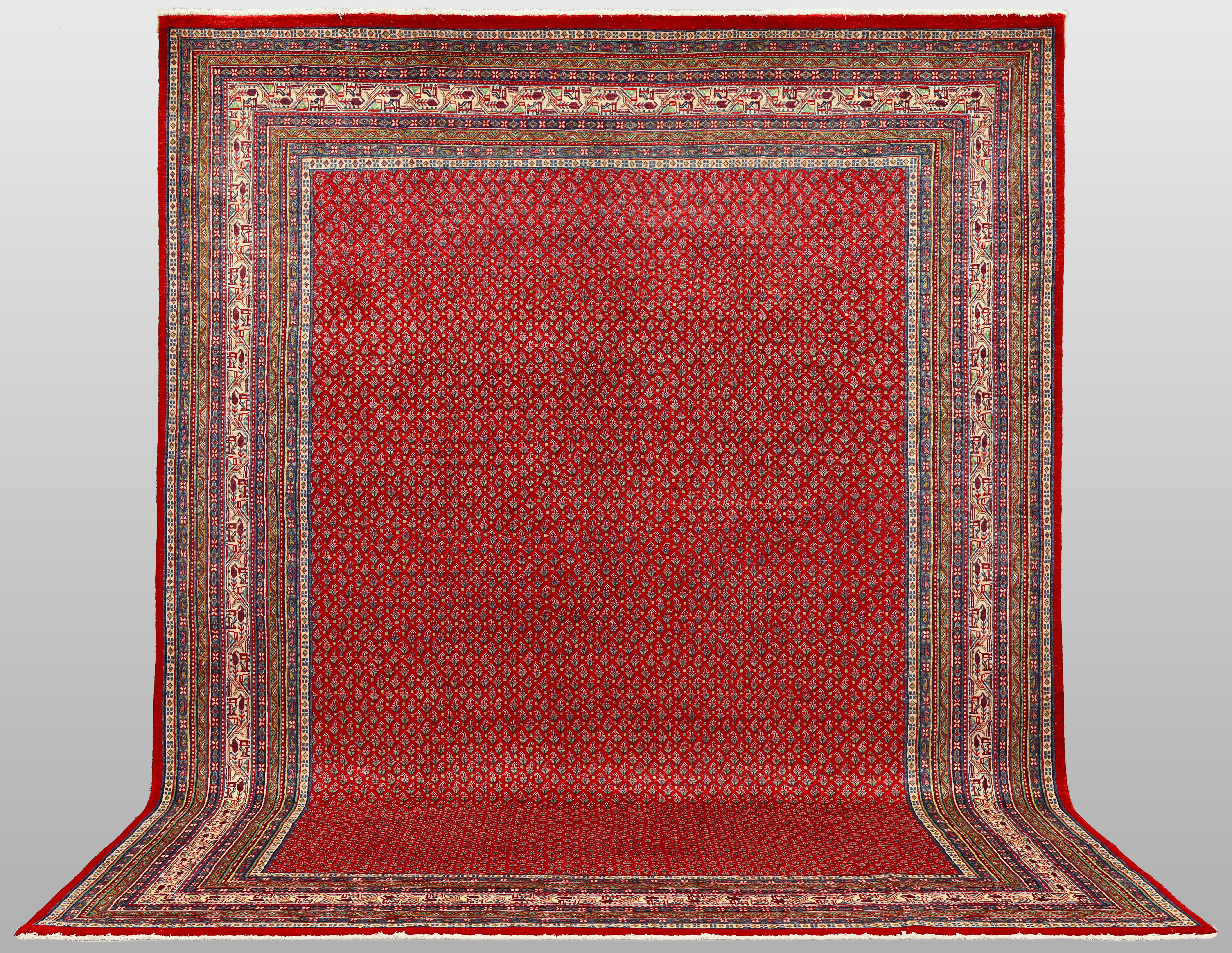 MATTA. Saruk Mir, 365 x 275 cm.