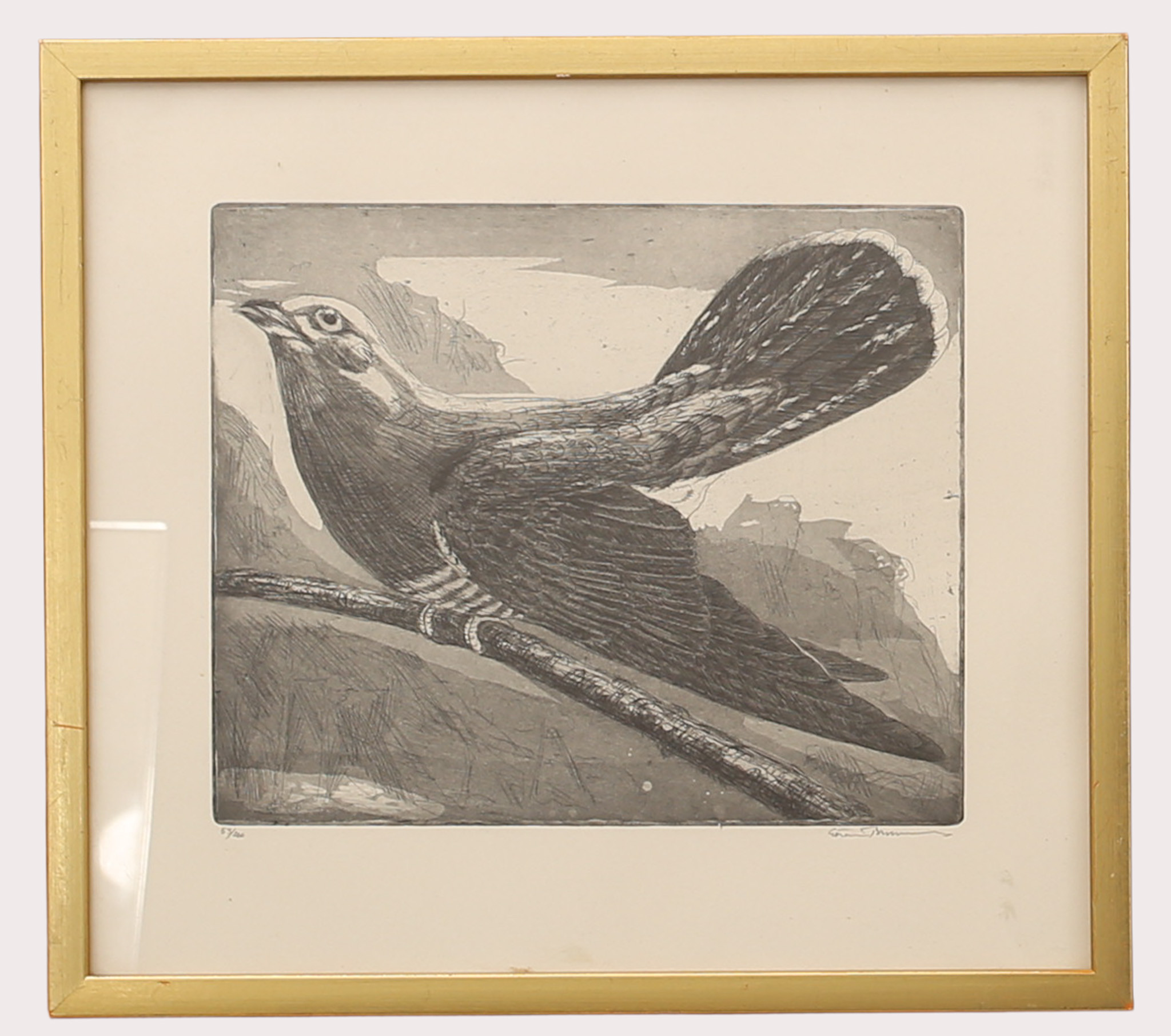 GÖRAN BRUNIUS. (1911-2005), etsning, "Gök", numrerad 53/260. Signerad.