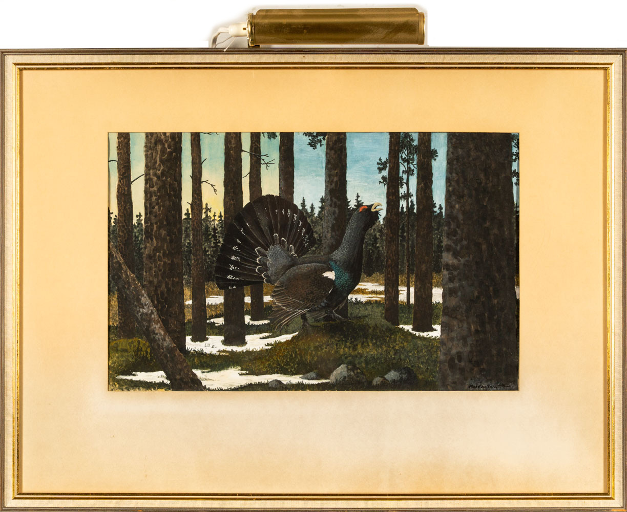 MATSÅKE BERGSTRÖM. Akvarell på papper, signerad, daterad 1969, motiv "Tjäder i skog".