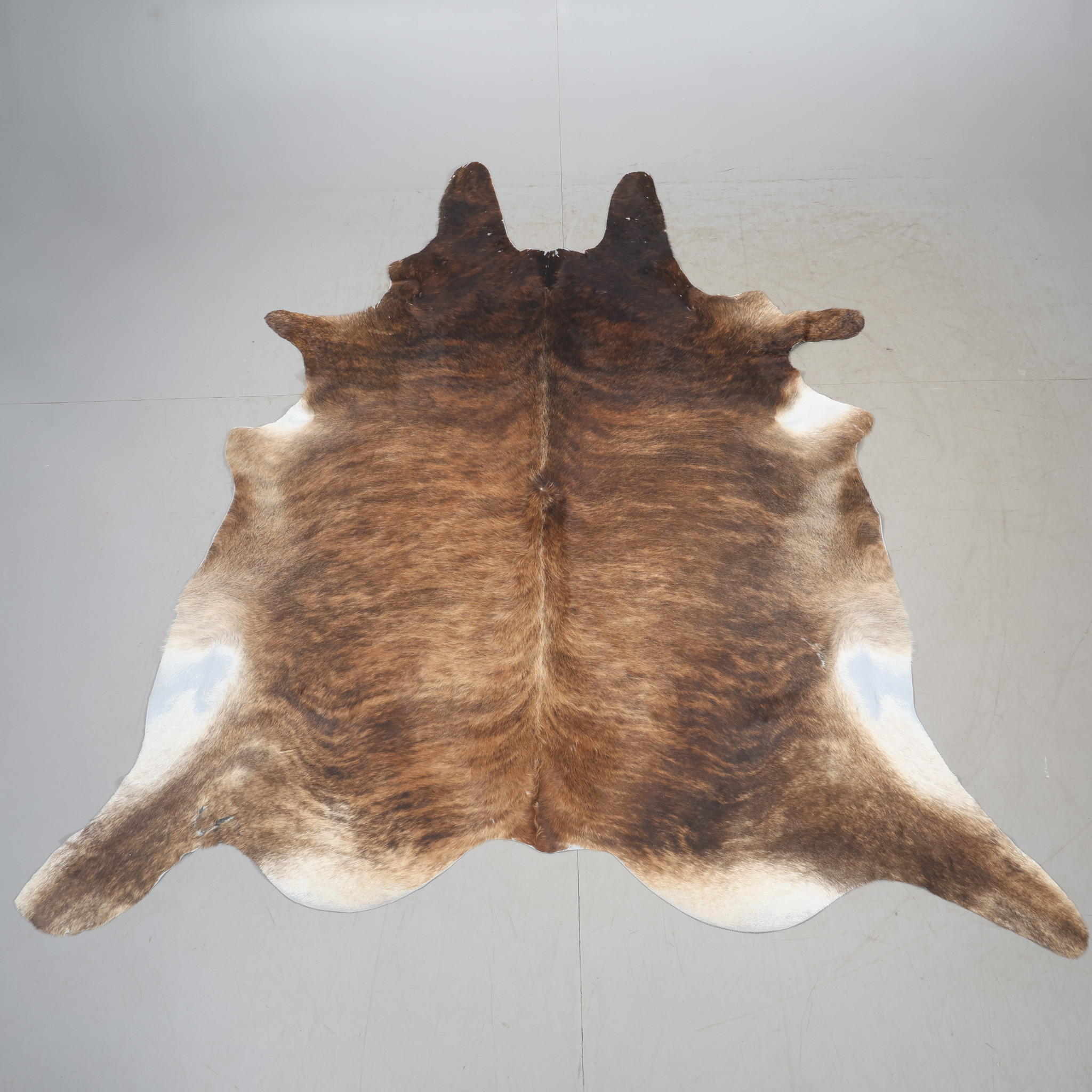 MATTA, Koskinn, ca 265 x 170 cm.