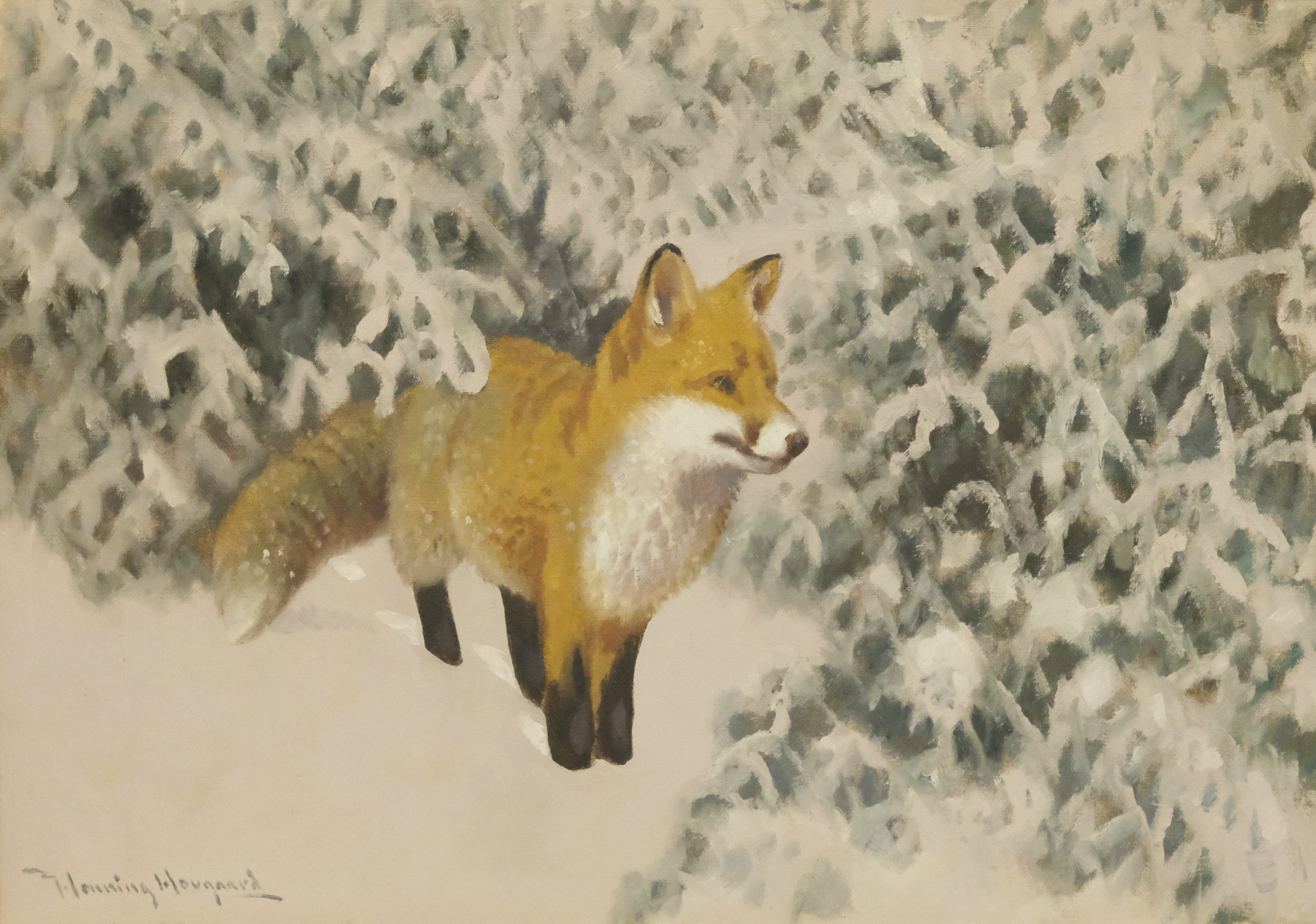 HENNING HOUGAARD. RÄV I SNÖLANDSKAP, OLJA PÅ DUK.