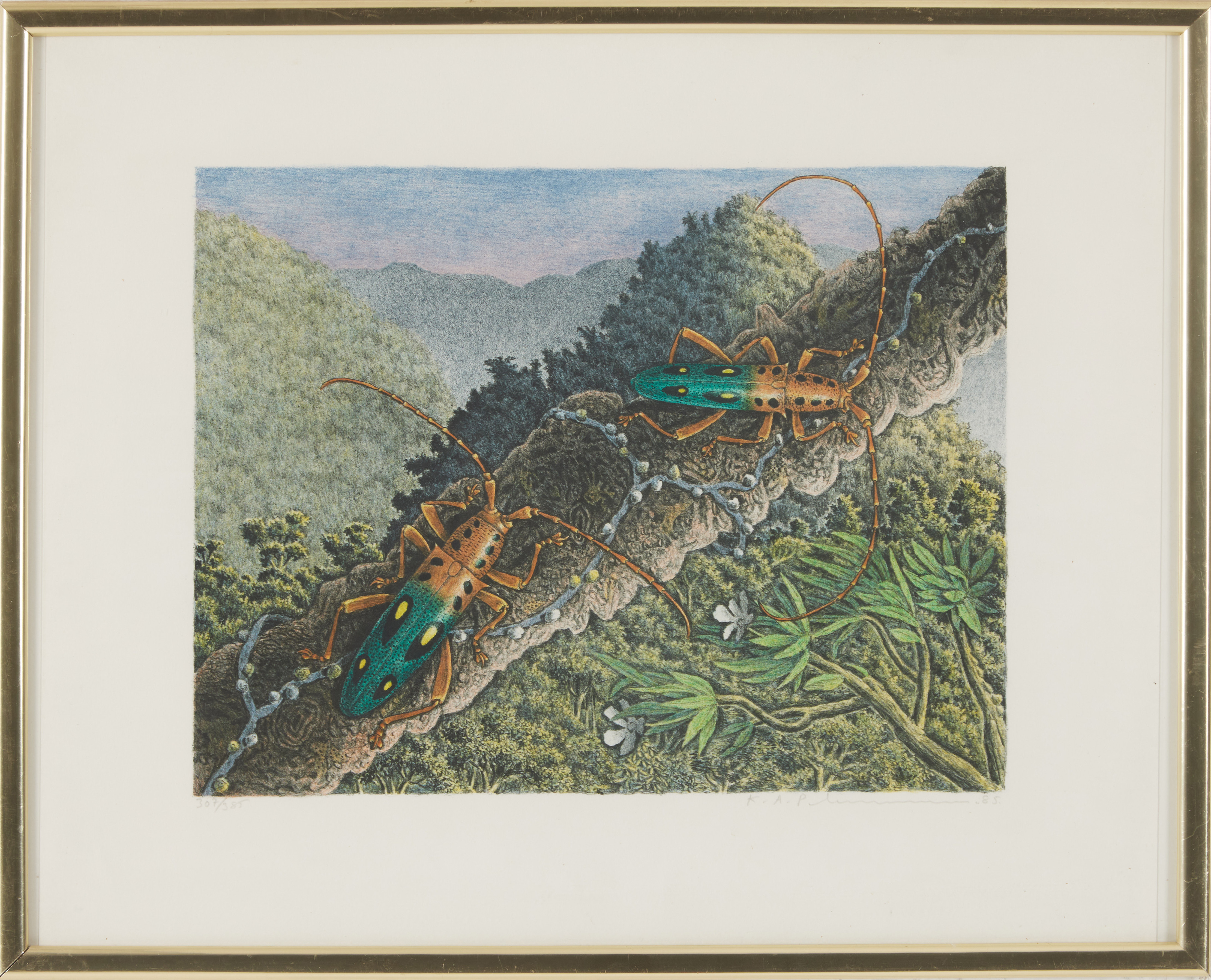 KARL AXEL PEHRSON. "Catalogeralia elegans" färglitografi, signerad K.A. Pehron numrerad 307/385.