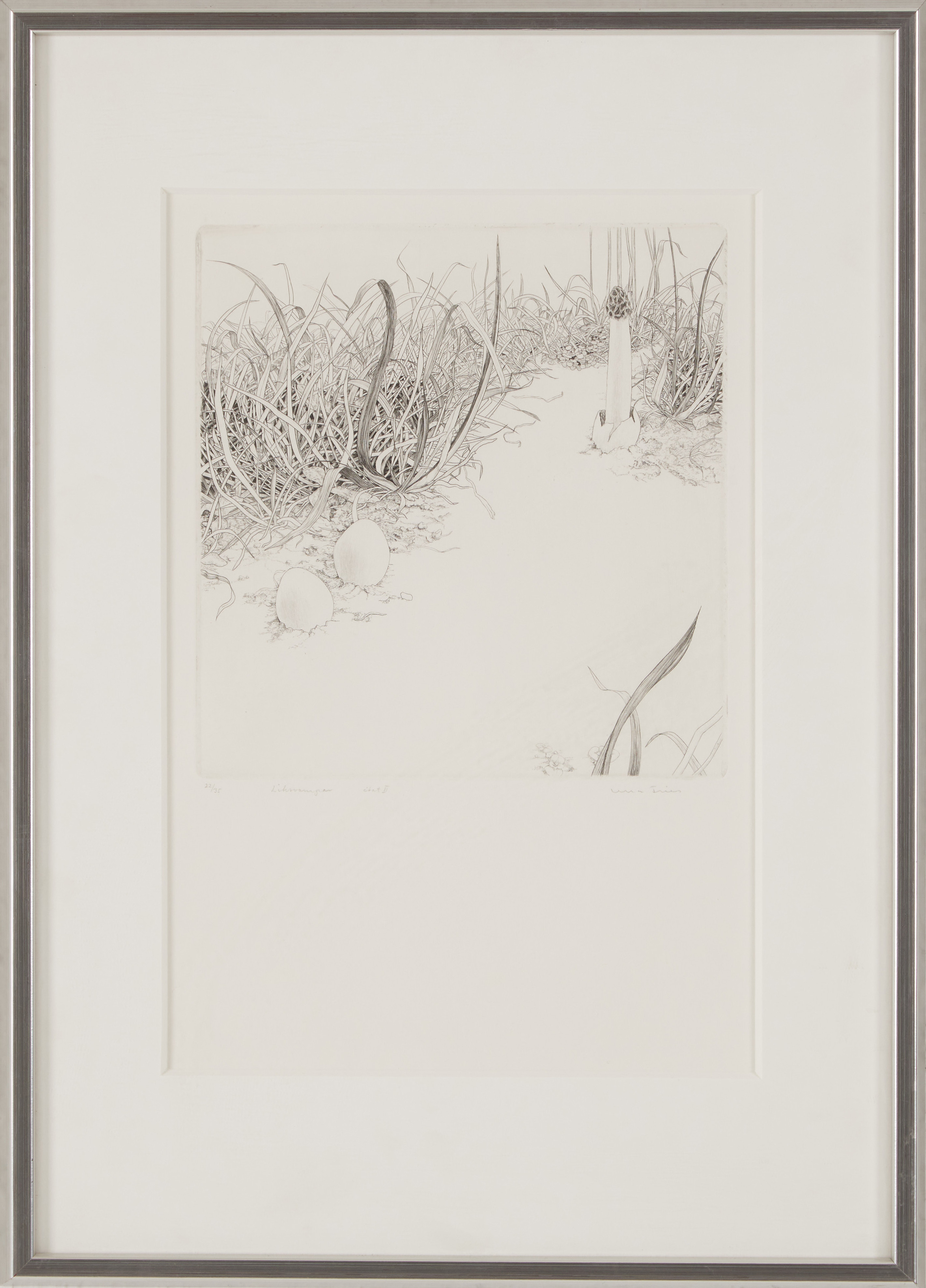 ULLA FRIES (f. 1946) "Liksvampar" état II, signerad, numrerad 22/35.