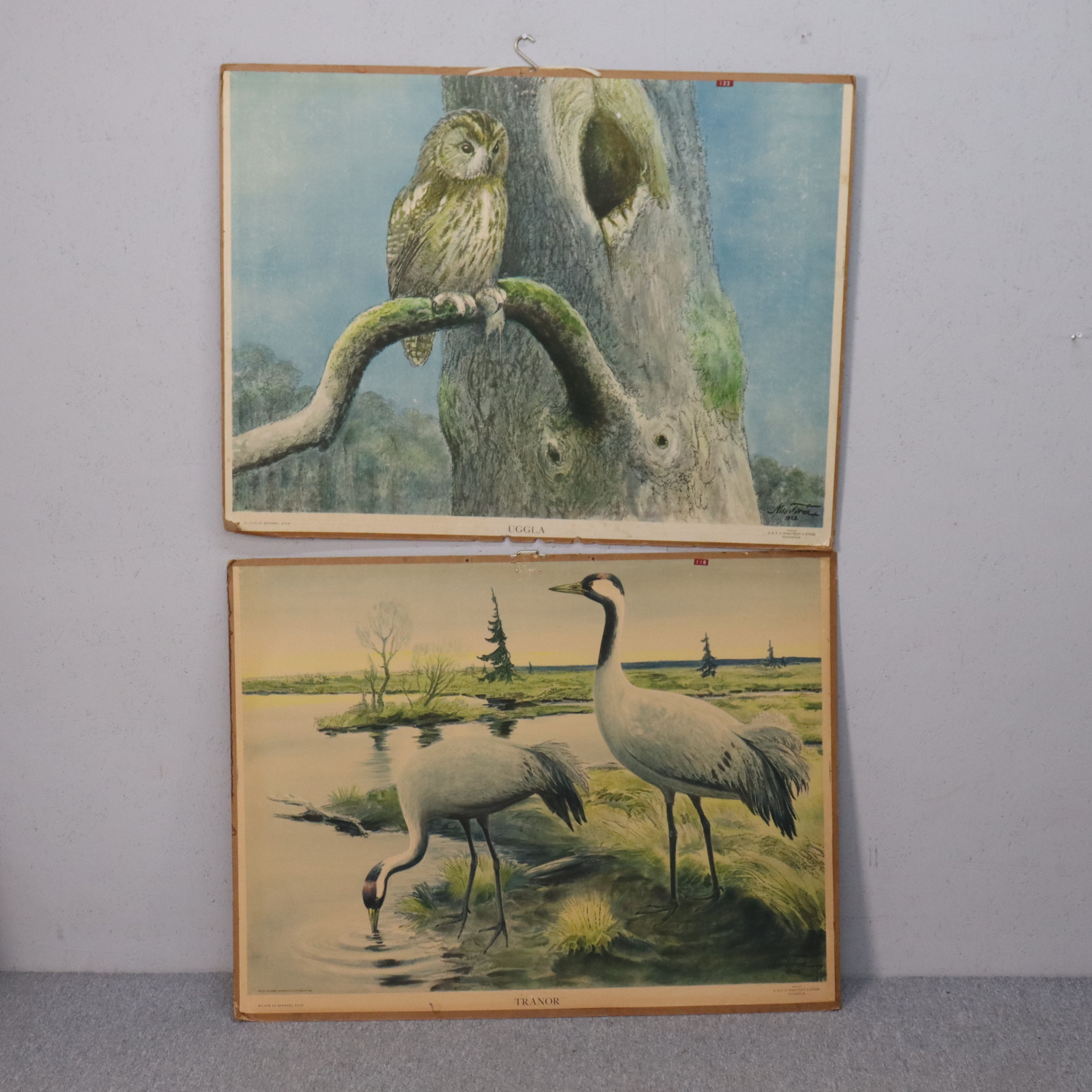 NILS TIRÉN. skolplansch, tranor och uggla, 1930-tal, 2 st.