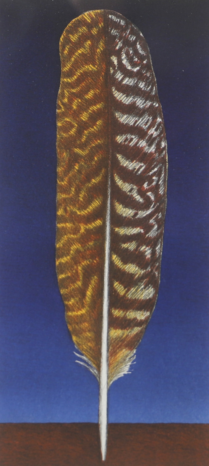 MARIA HILLFON. Fjäder, färglitografi, signerad.