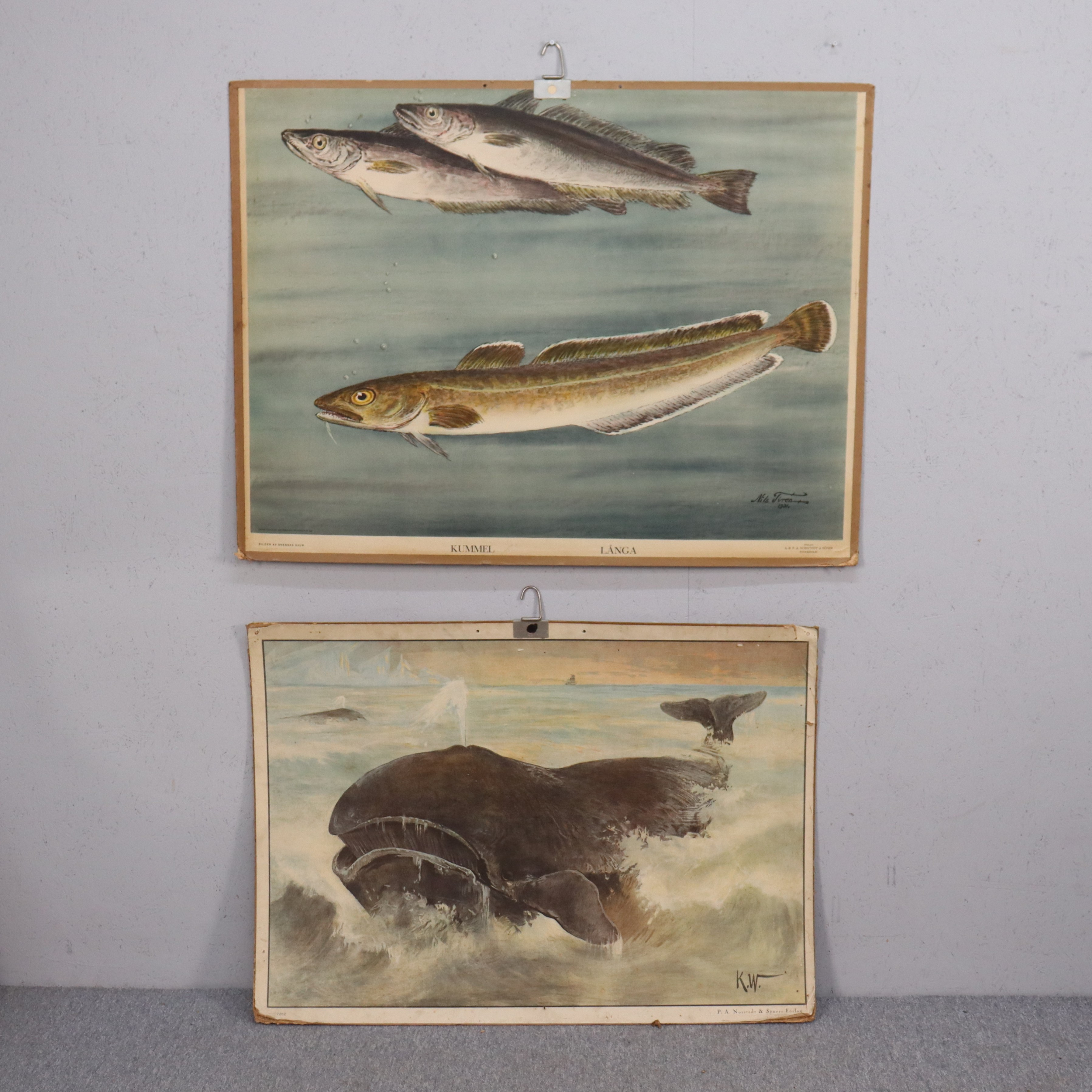 NILS TIRÉN. skolplansch, kummel, långa och val, 1930-tal, 2 st.