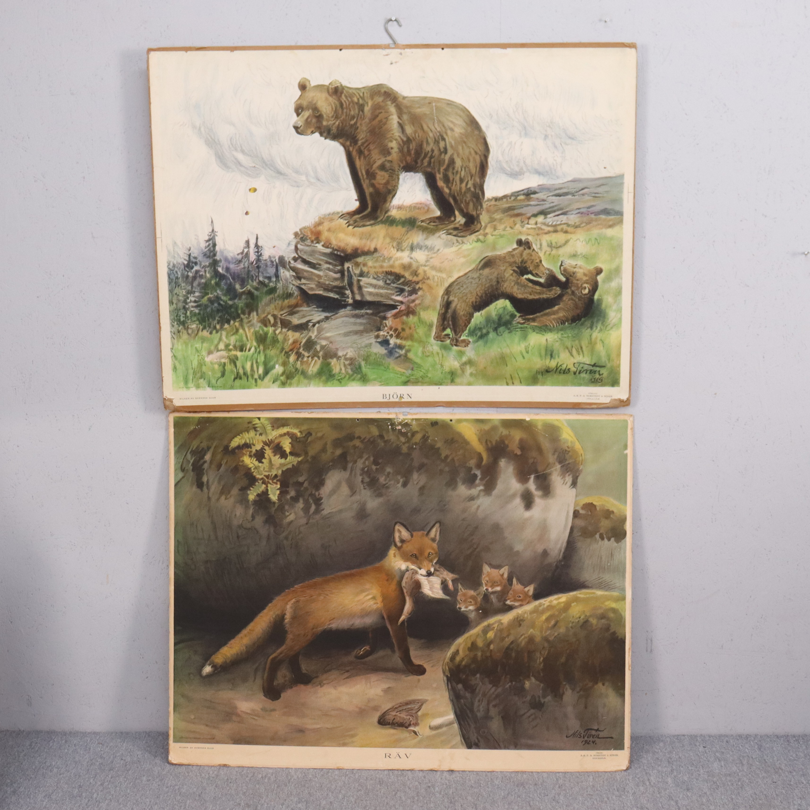 NILS TIRÉN. skolplansch, björn och räv, 1930-tal, 2 st.
