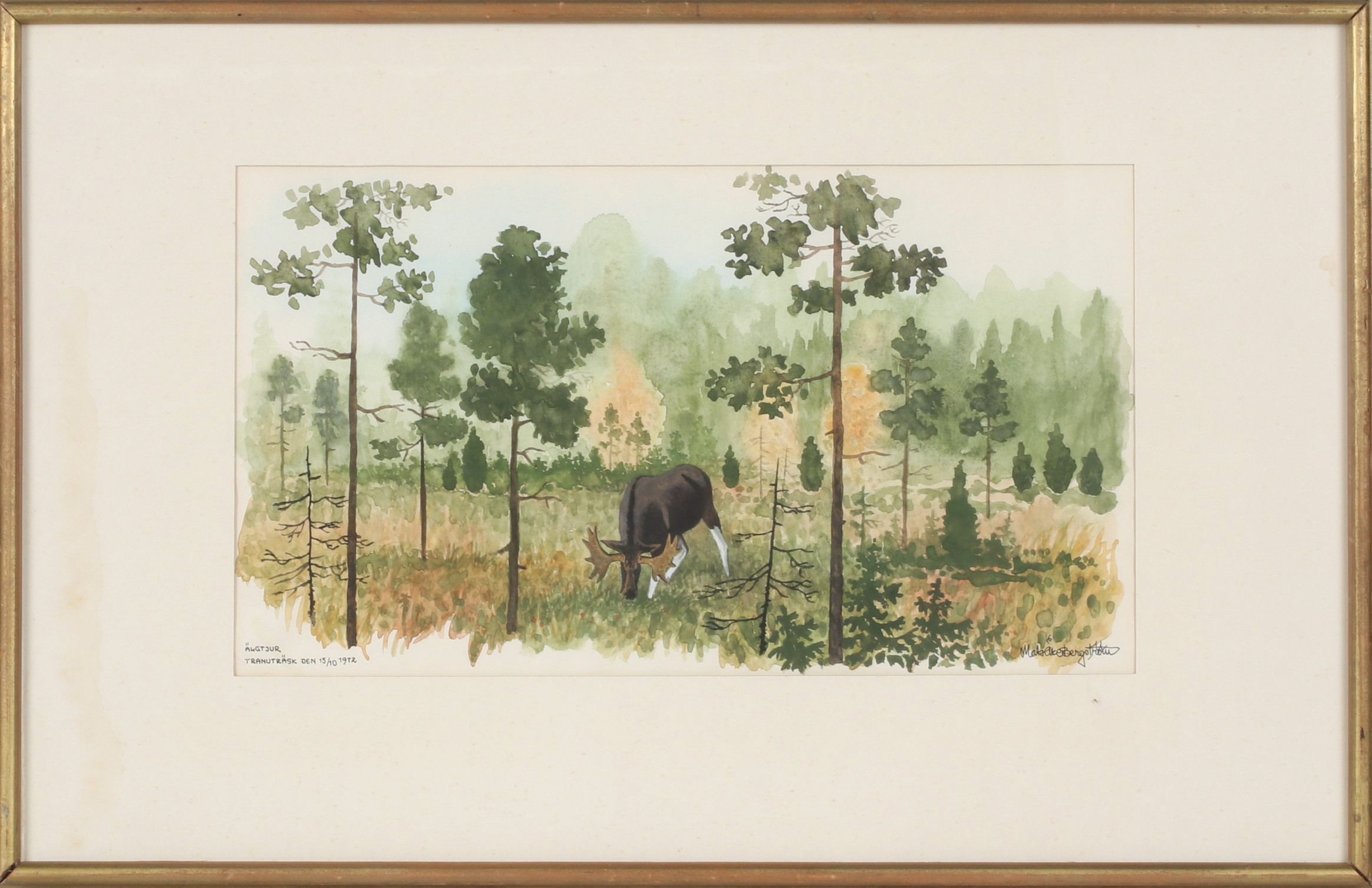 MATSÅKE BERGSTRÖM. Älgtjur, Tranuträsk den 15/10 1972, akvarell, signerad.