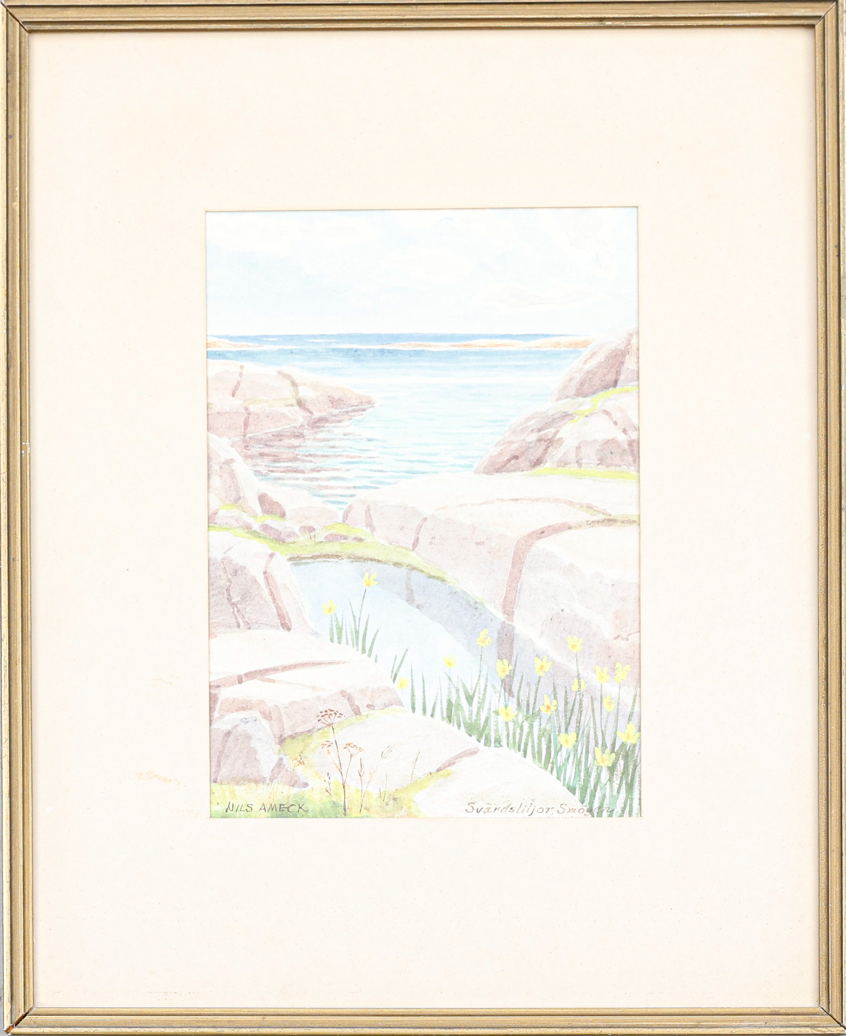 NILS AMECK. Pastell, " Svärdsliljor i Smögen ", signerad.