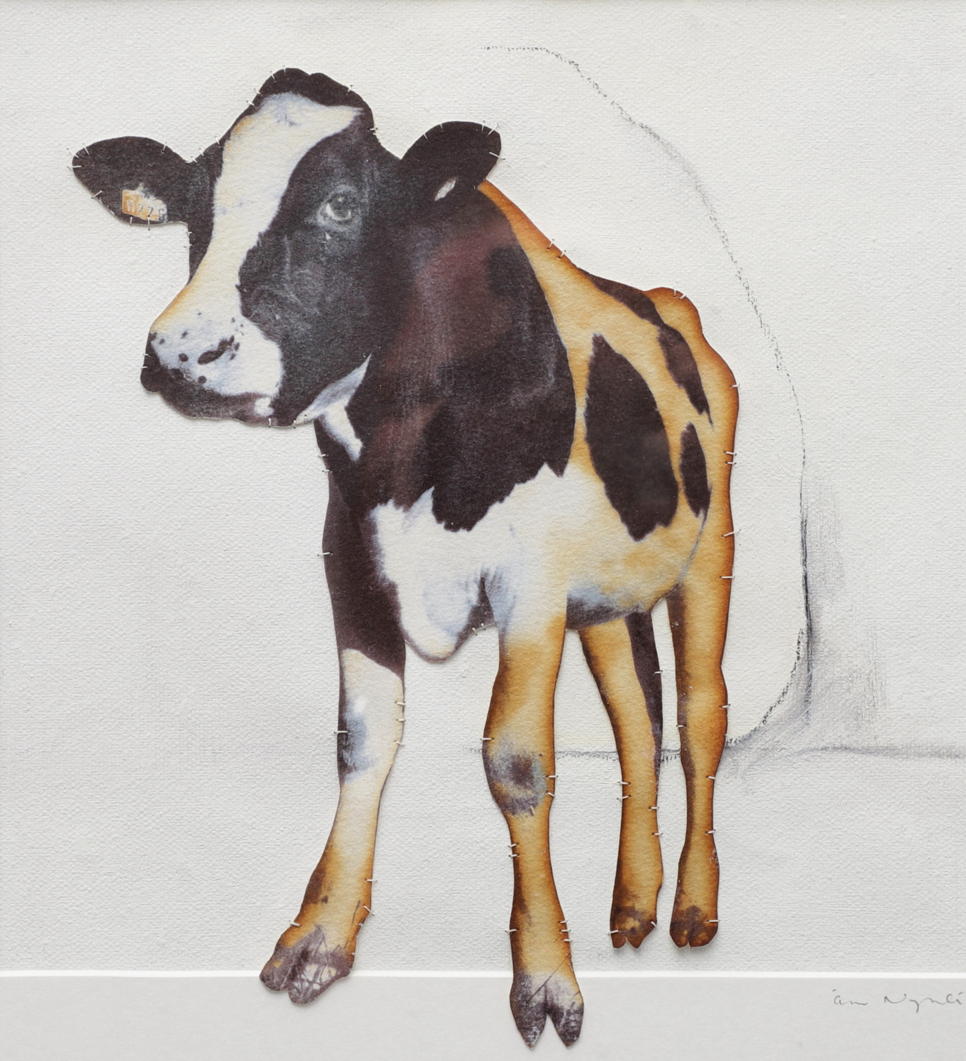 ÅSA NYHLEN. Kalv ur "Och koliv", foto med gummitryck på koppartryckspapper, signerad.