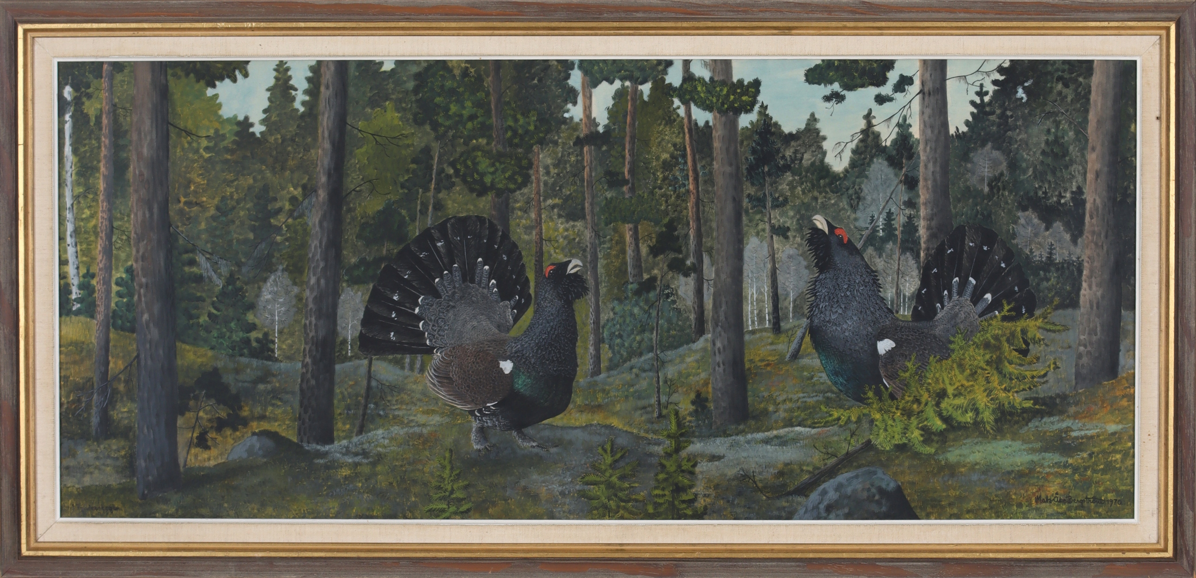 MATSÅKE BERGSTRÖM. Tjäderlek, akvarell, signerad och daterad 1970.