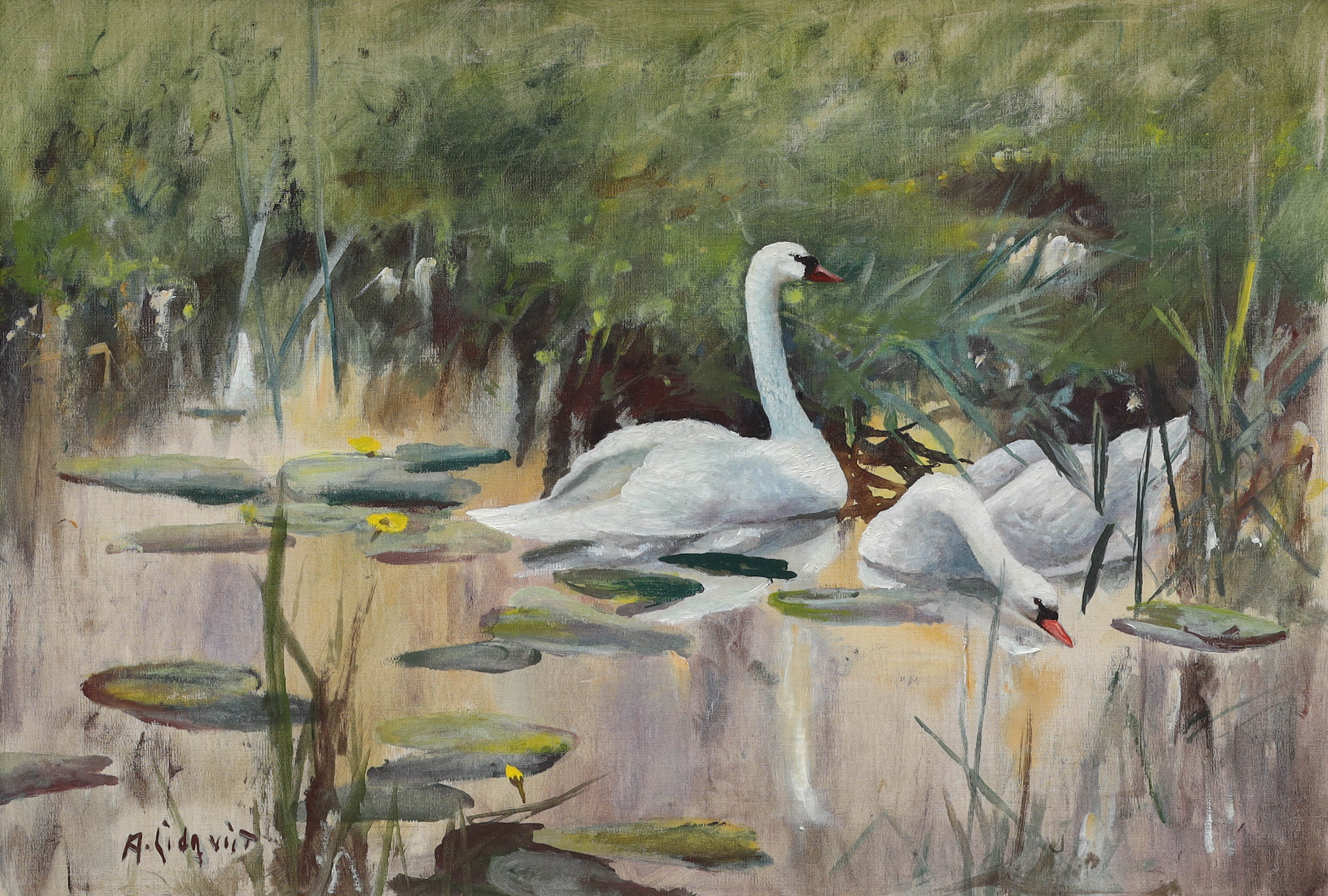 ARNE LIDQVIST. olja på duk, ett svanpar, signerad A Lidqvist.