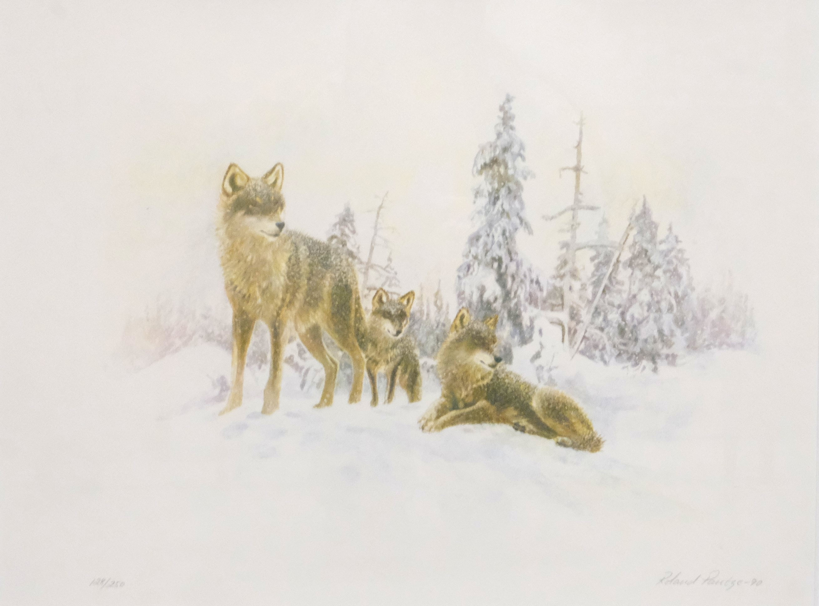 ROLAND PANTZE. LITOGRAFI, VARGAR I VINTERLANDSKAP.