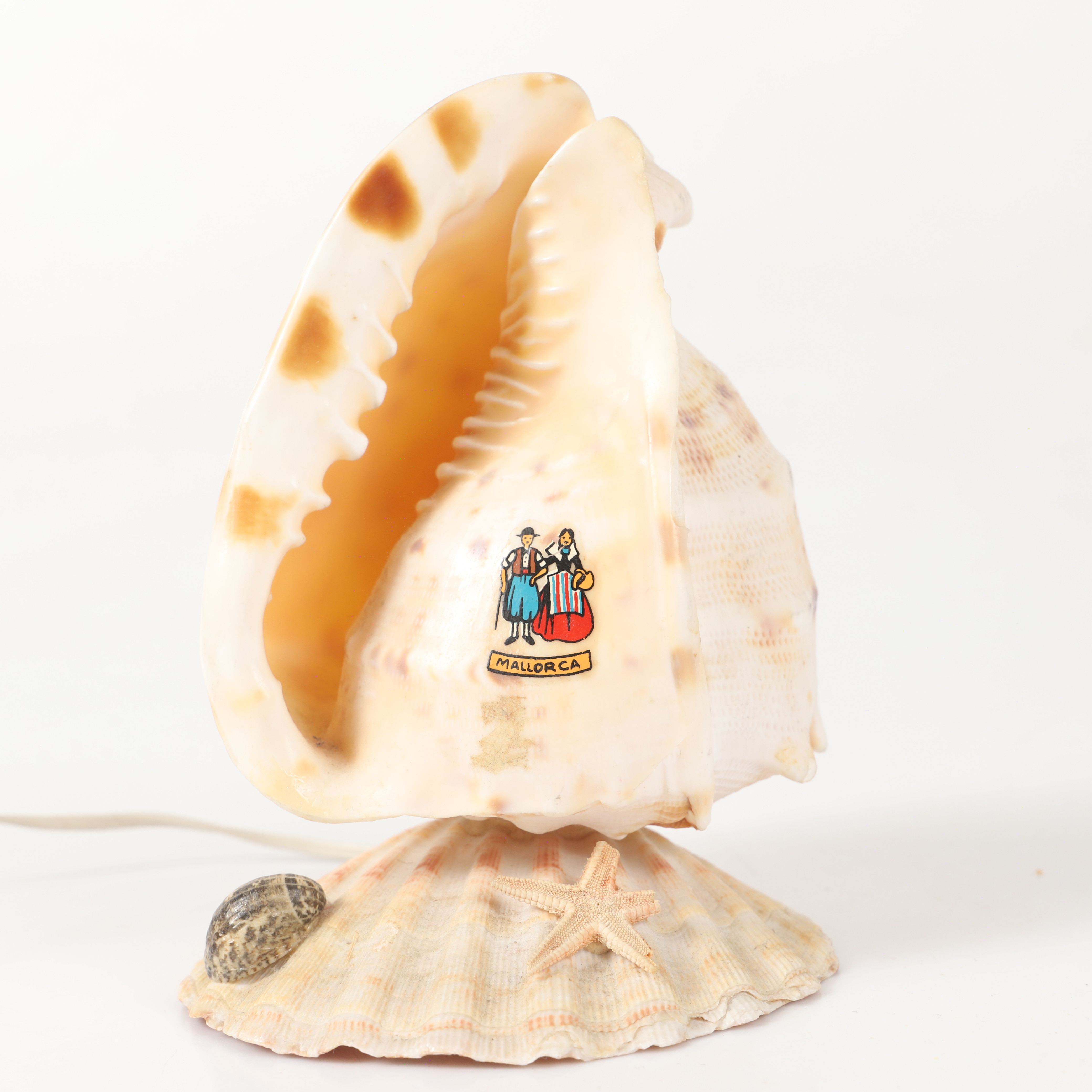 BORDSLAMPA, snäckskal, 1900-talets andra hälft.