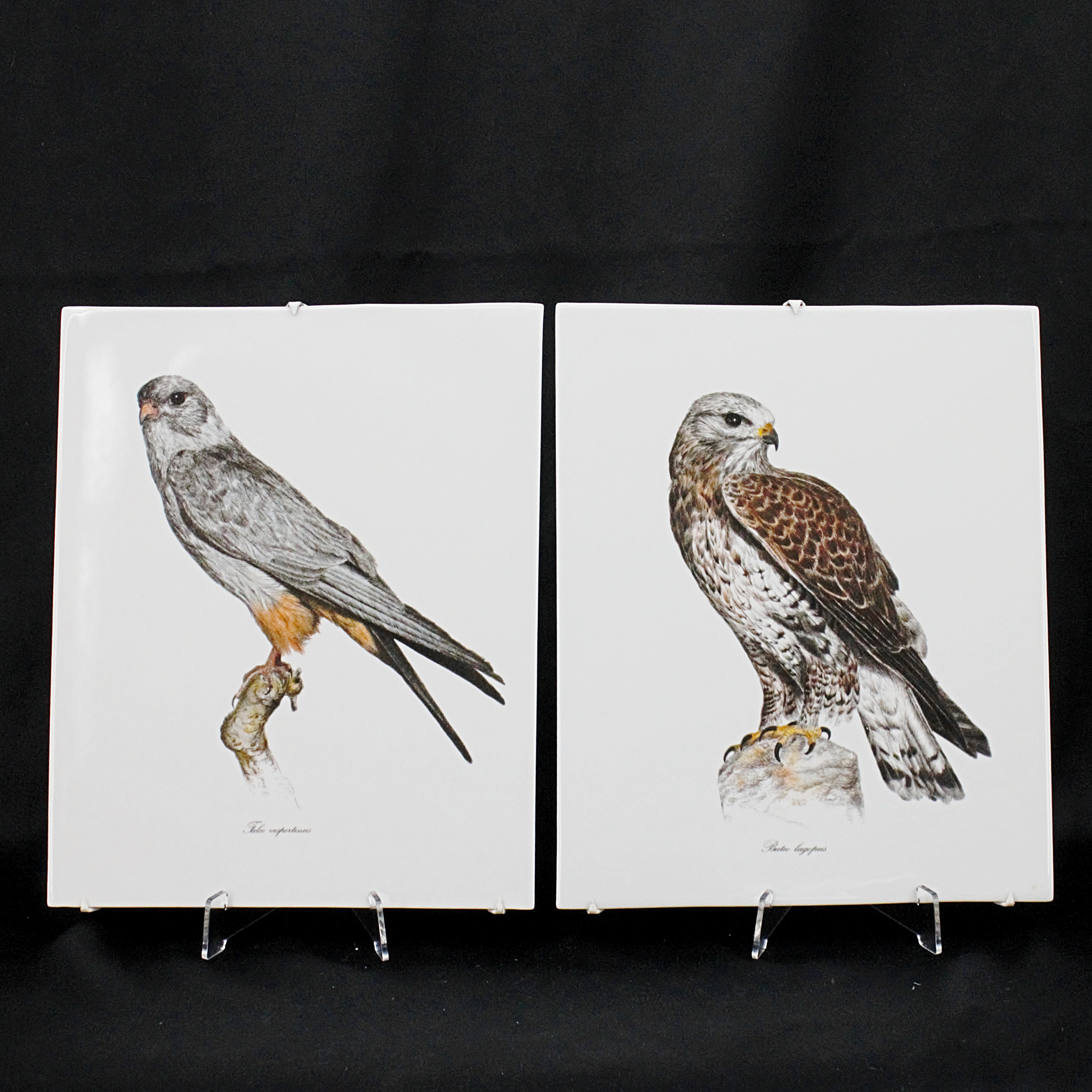 VÄGGPLAKETTER, 2 st, "Falco vespertinus" och "Buteo lgopus", porslin, Rörstrand.