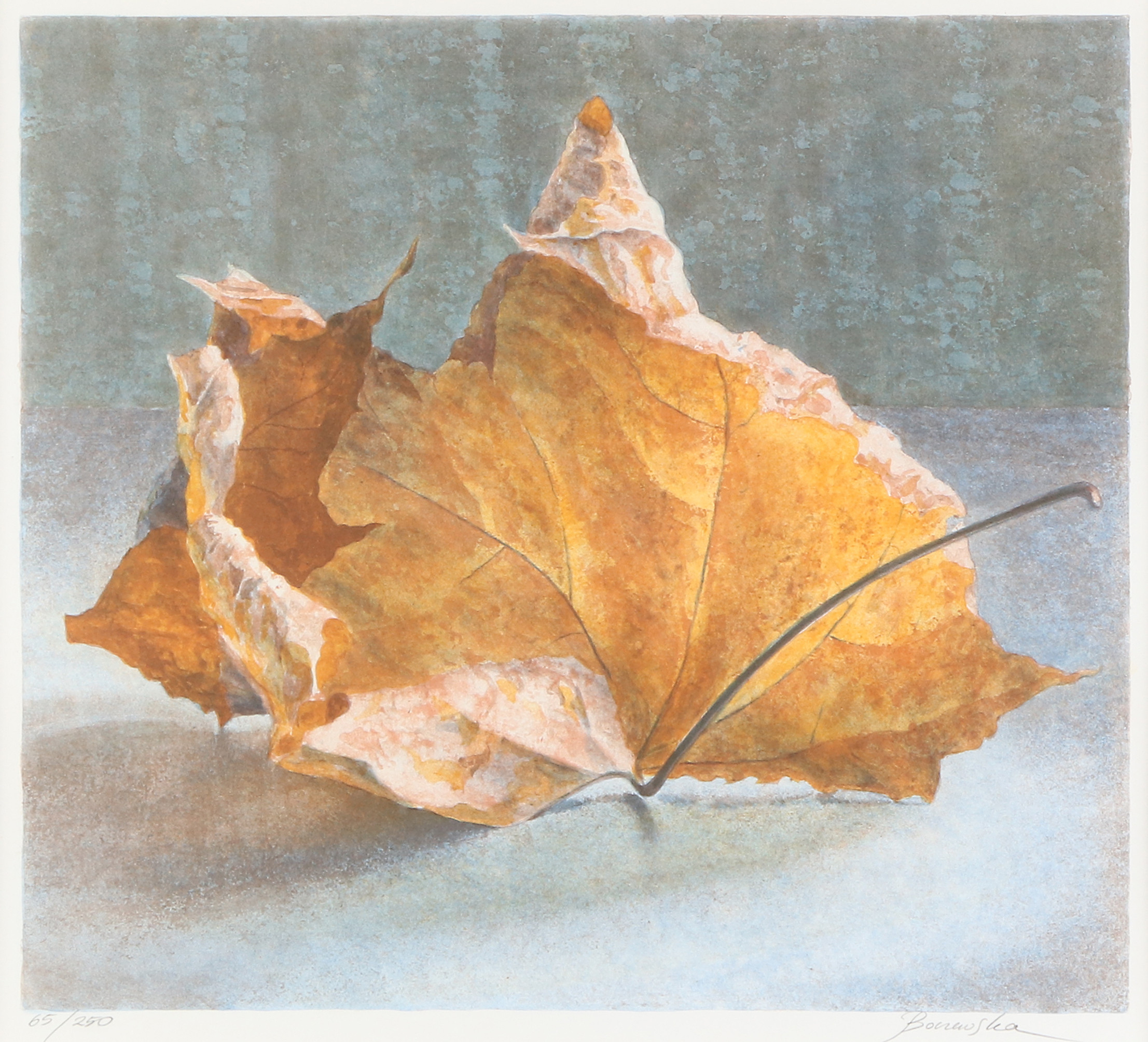 MARIA BOCZEWSKA. Litografi, 65/250. Löv. Signerad.