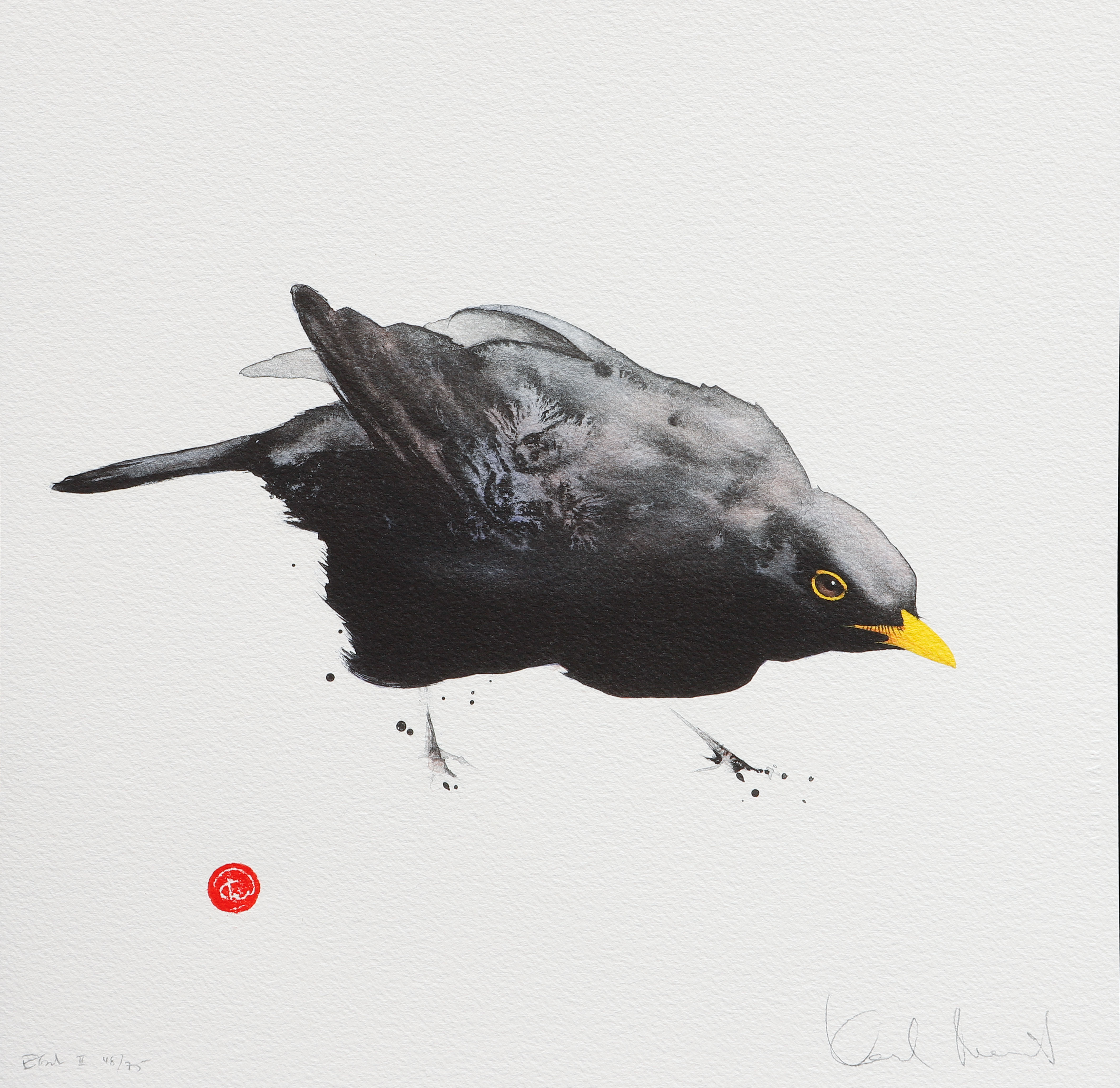 KARL MÅRTENS. Koltrast, färglitografi, signerad och numrerad 48/75.