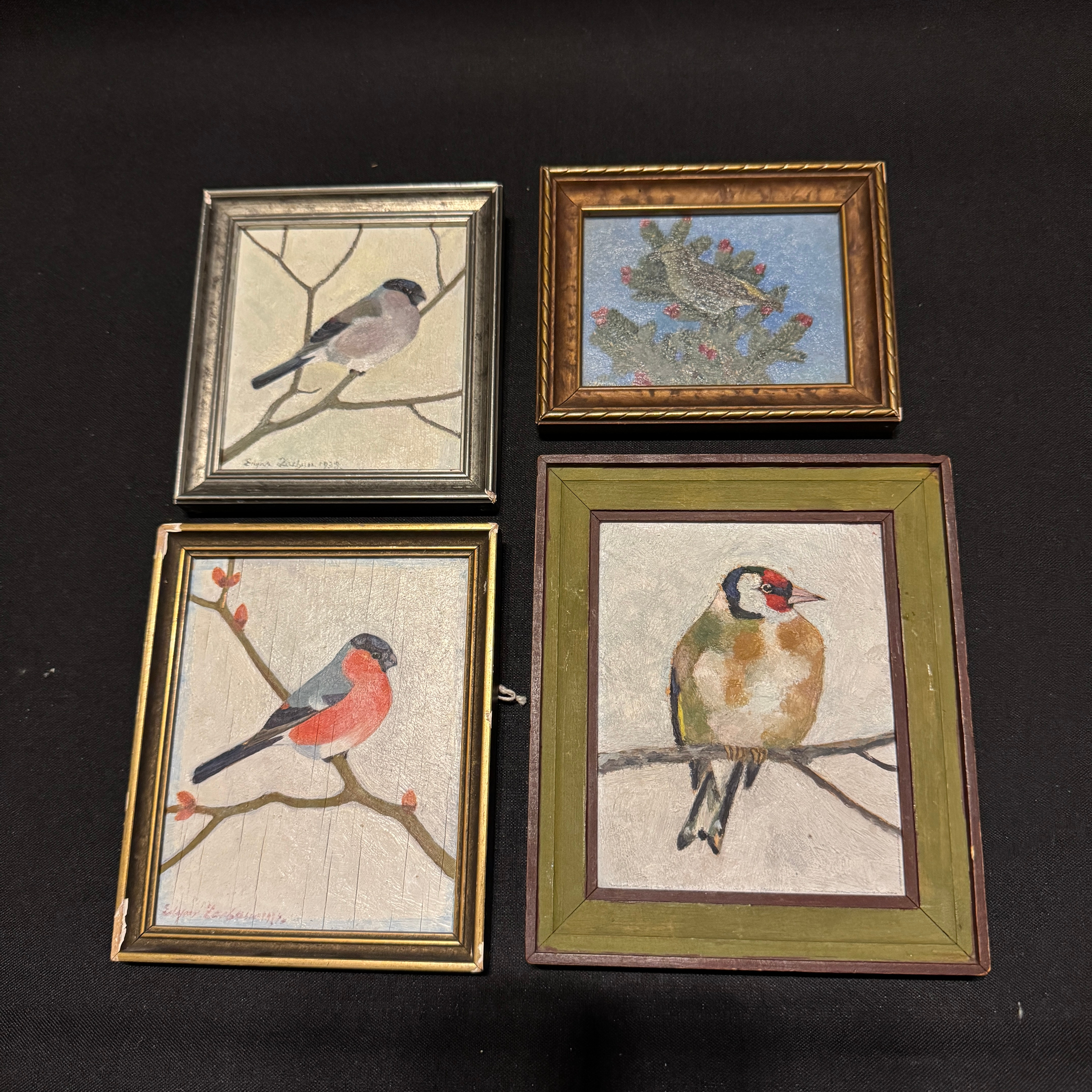 EDGAR ZACHAU. Oljemålningar Miniatyr. 4st. ca 1930. Fåglar.